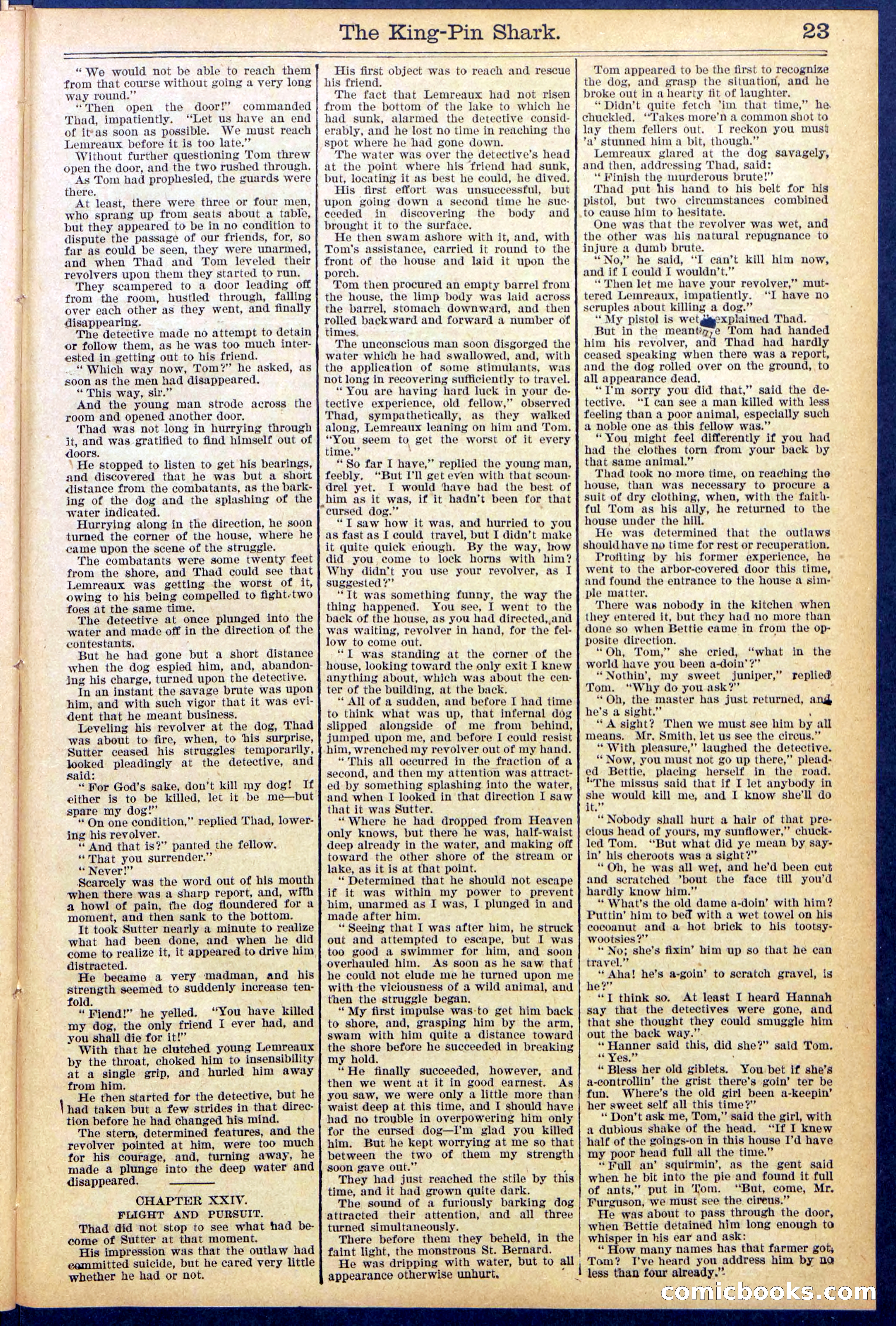 Beadle's Dime Library No. 872 — page 23 of 31