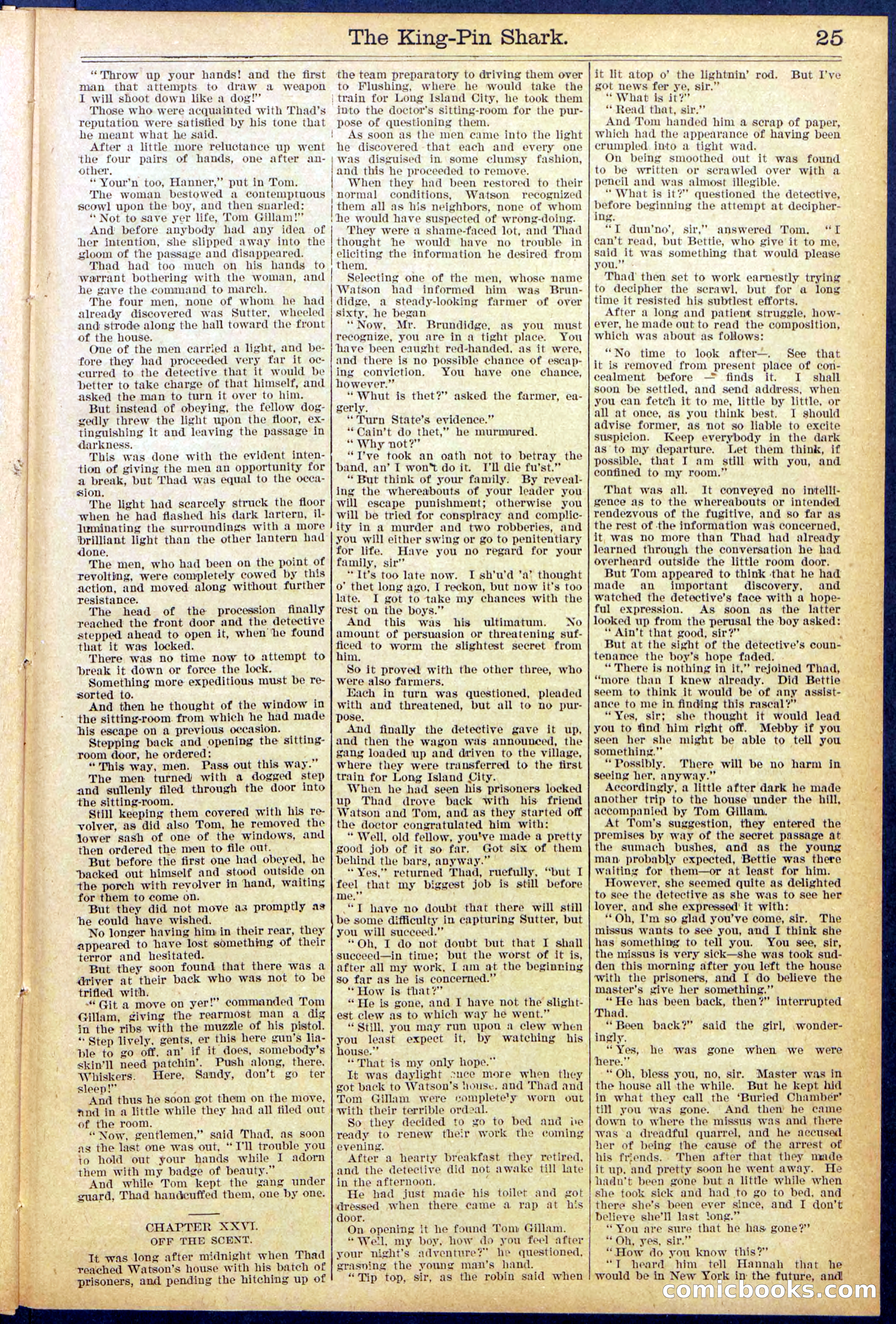 Beadle's Dime Library No. 872 — page 25 of 31