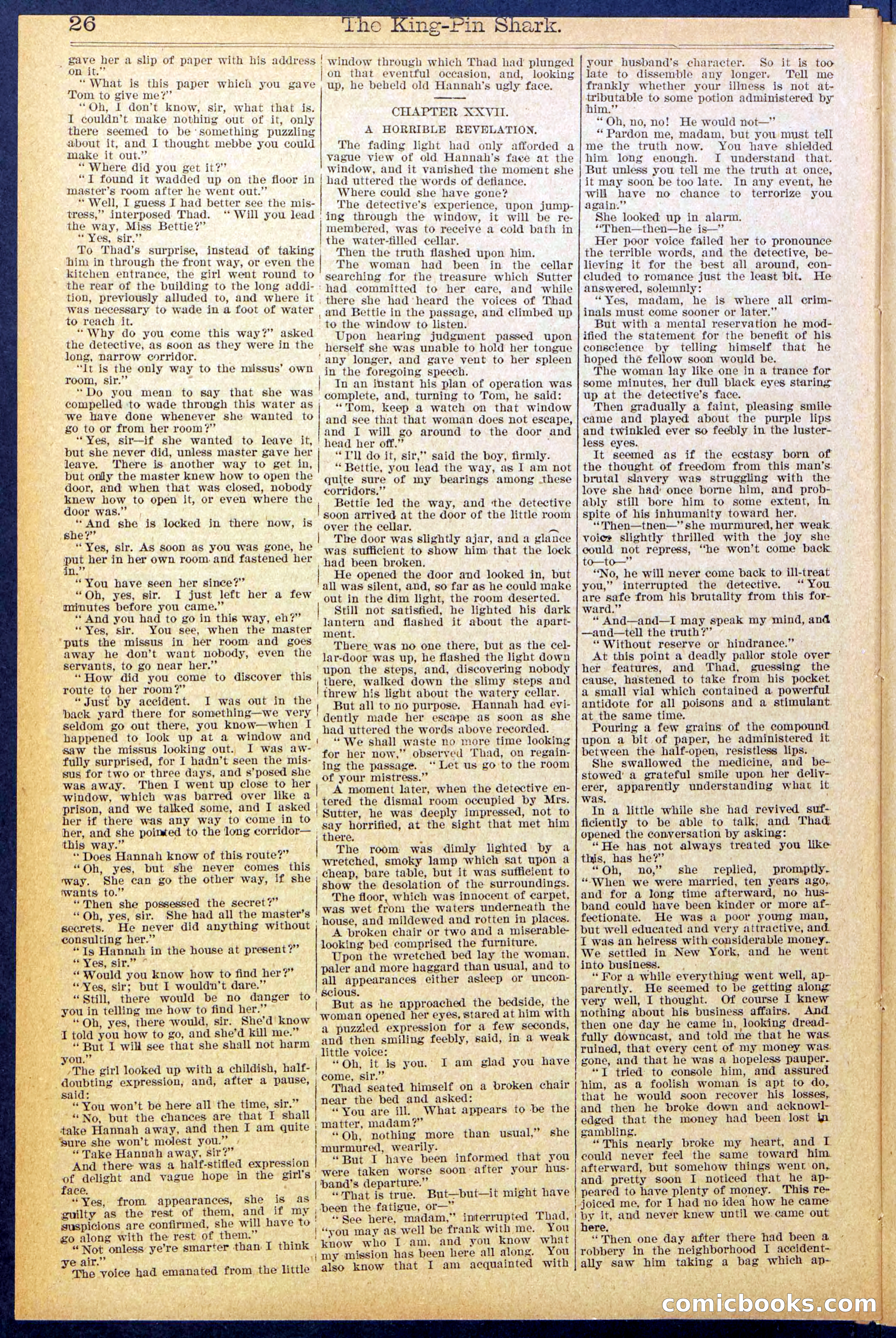 Beadle's Dime Library No. 872 — page 26 of 31