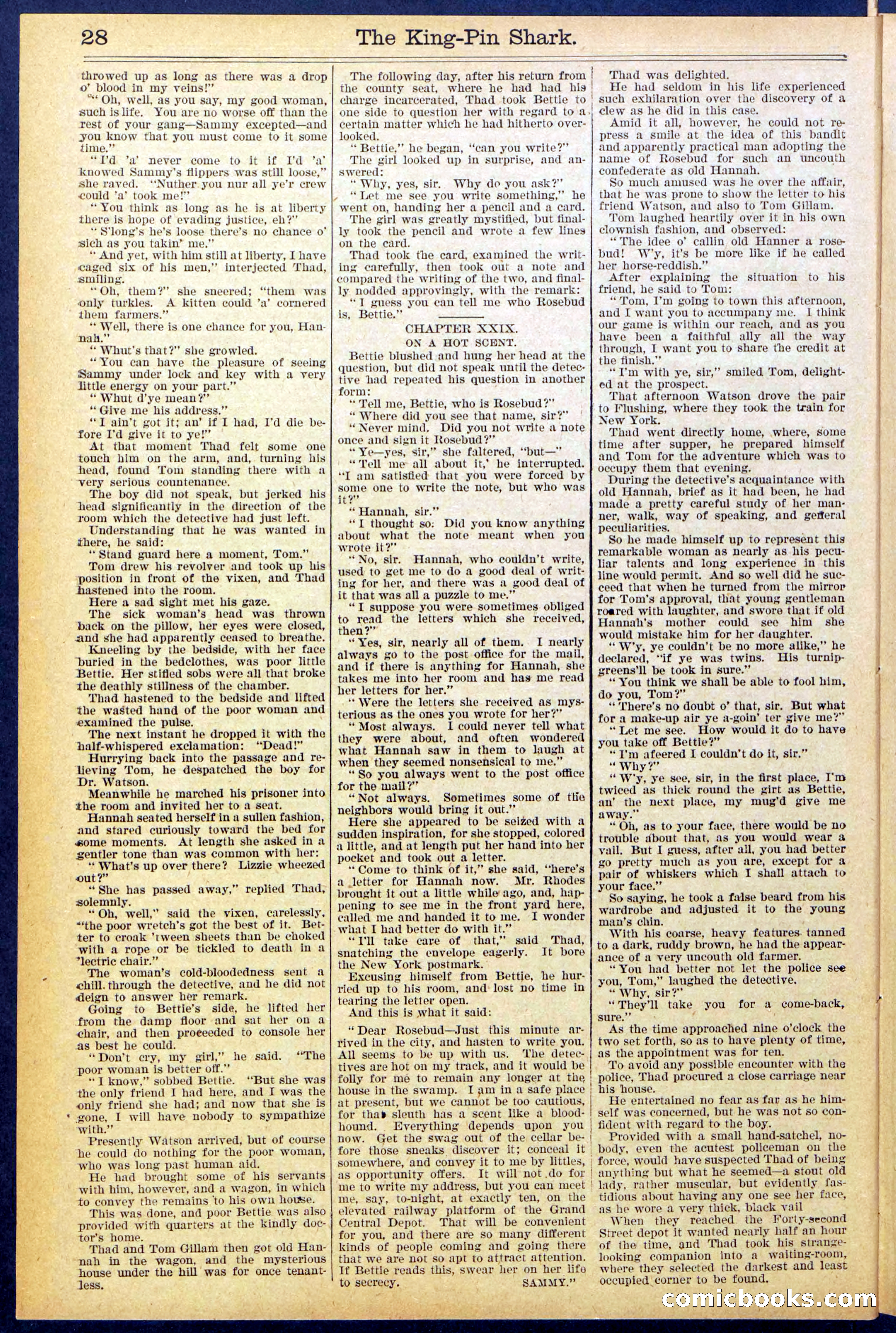 Beadle's Dime Library No. 872 — page 28 of 31