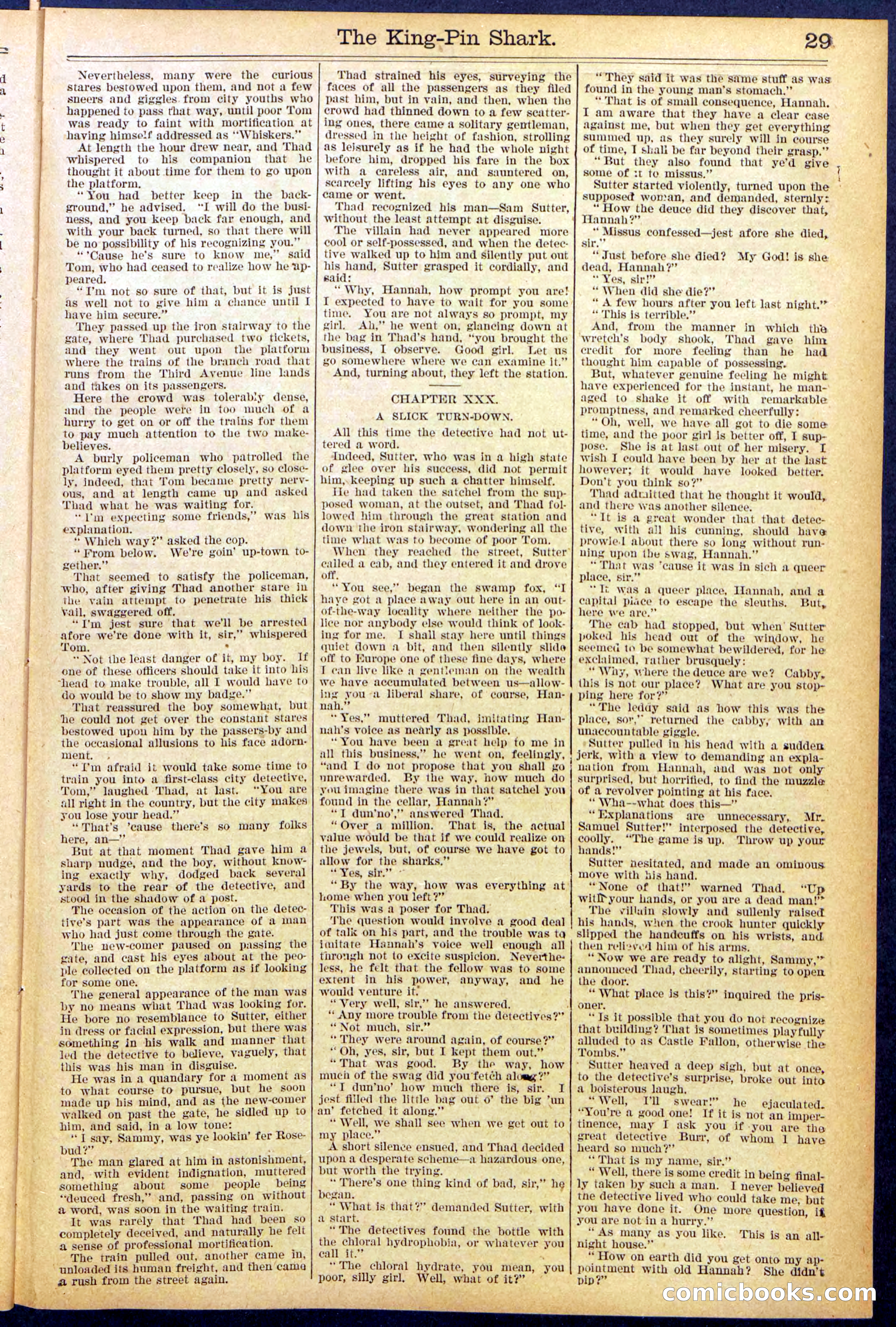 Beadle's Dime Library No. 872 — page 29 of 31
