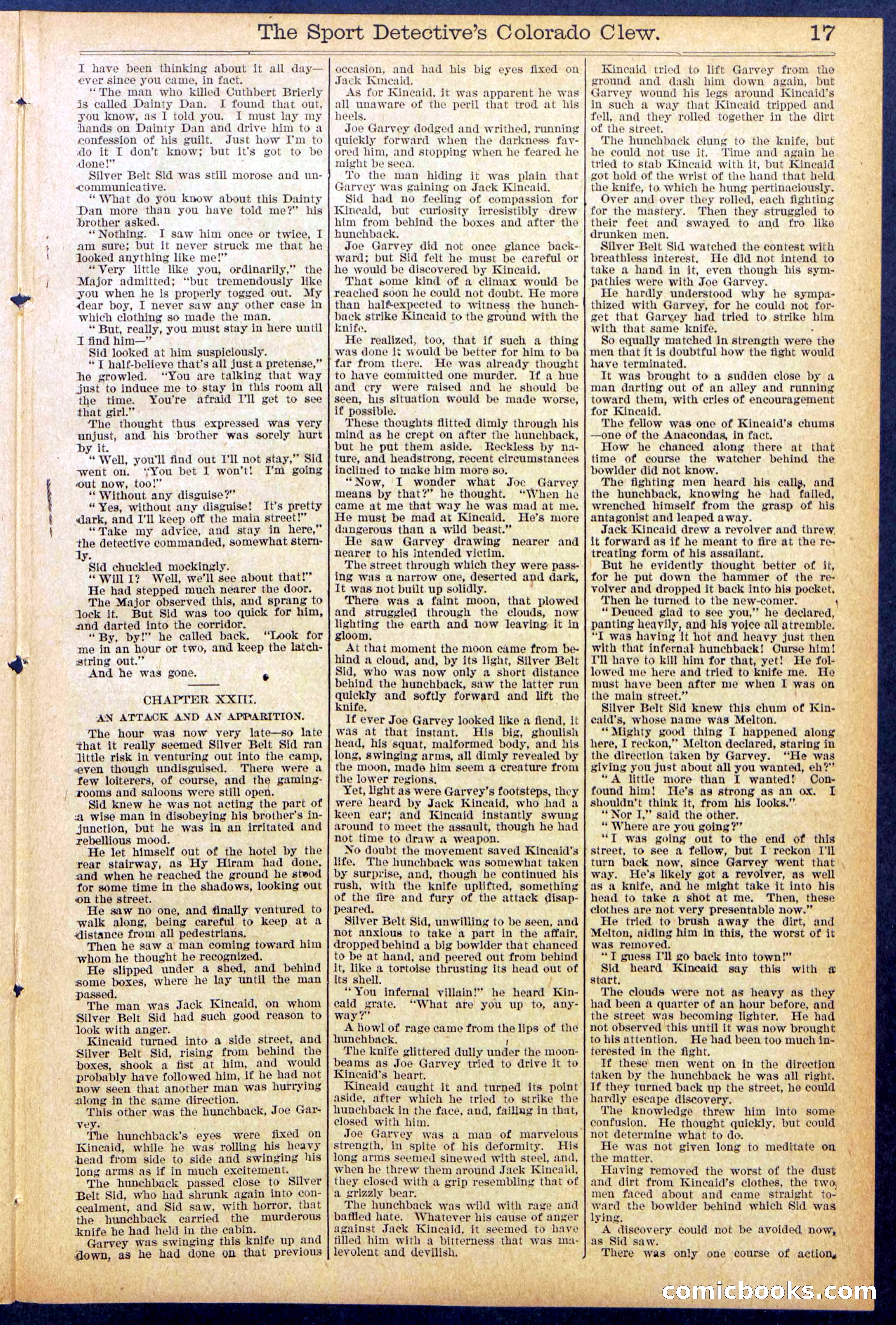 Beadle's Dime Library No. 373 (July 17, 1895) — page 17 of 32