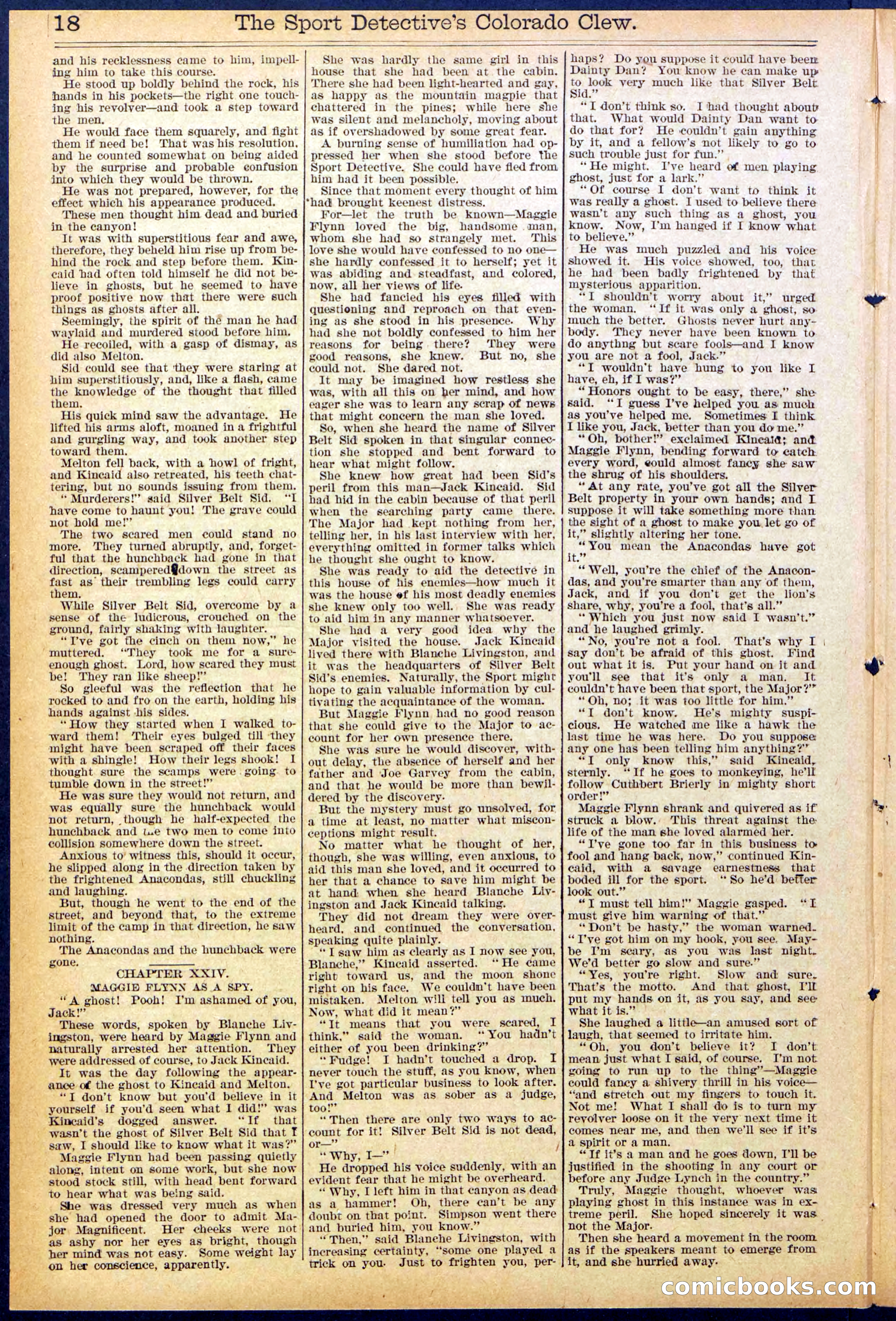 Beadle's Dime Library No. 373 (July 17, 1895) — page 18 of 32