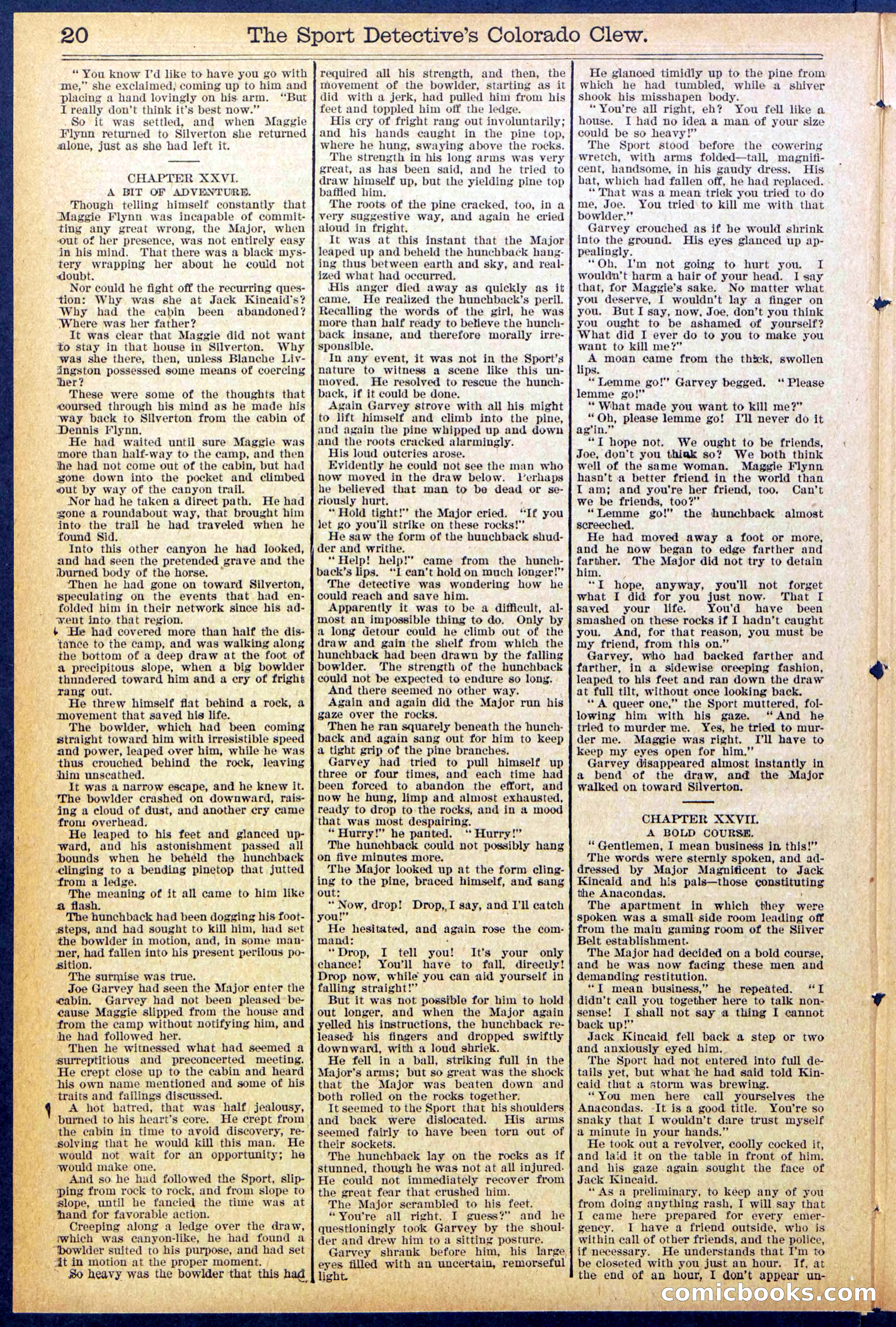 Beadle's Dime Library No. 373 (July 17, 1895) — page 20 of 32