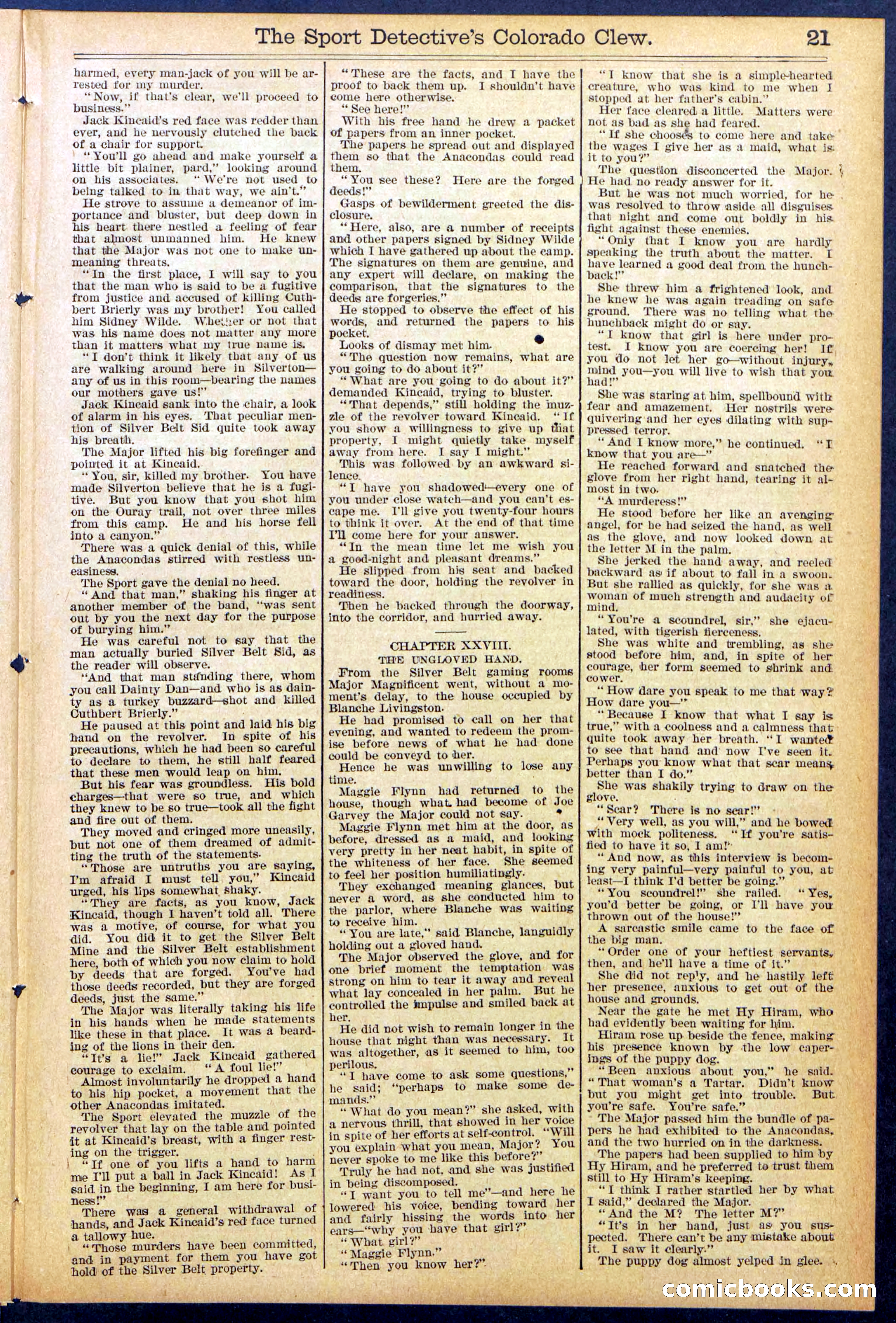 Beadle's Dime Library No. 373 (July 17, 1895) — page 21 of 32