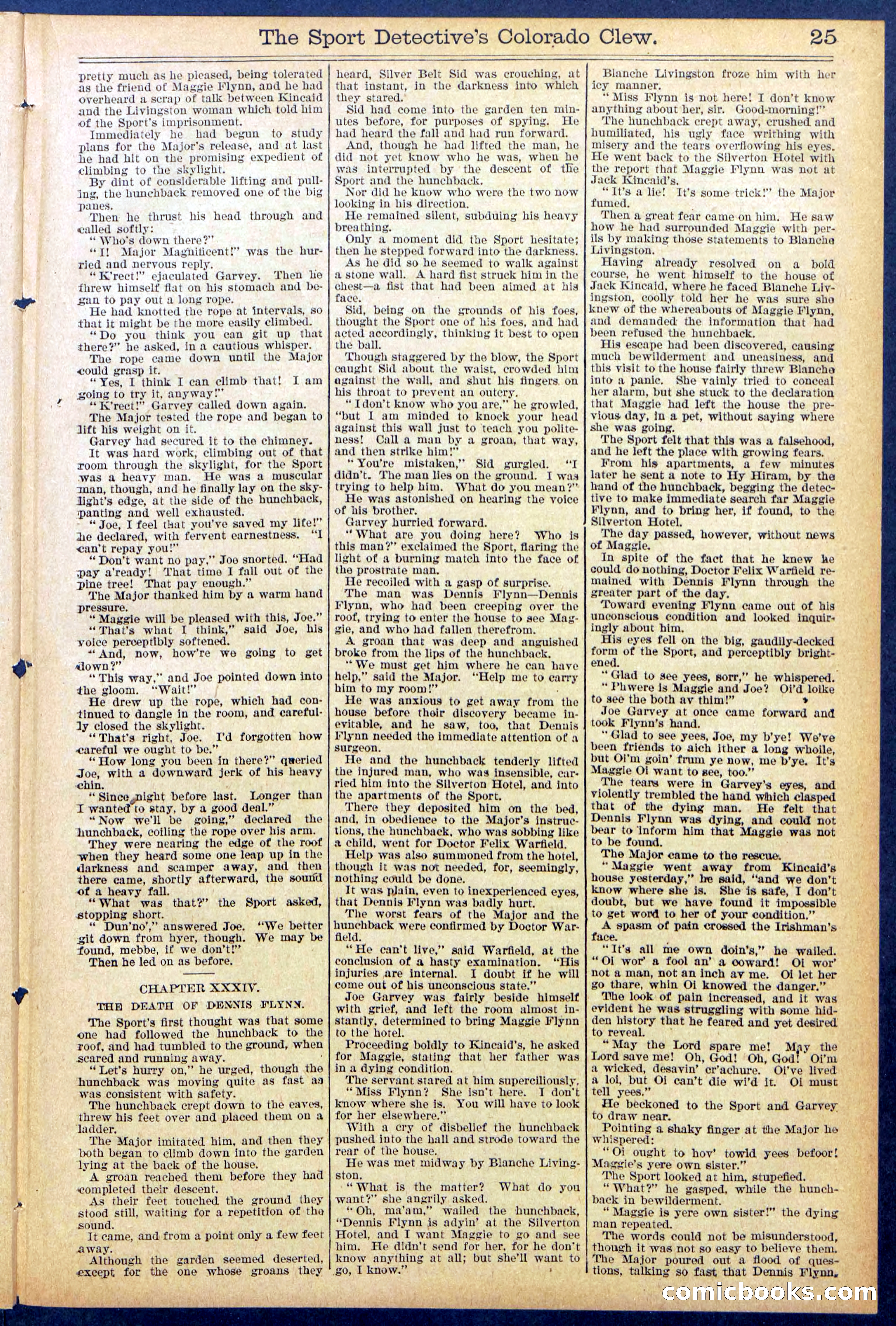 Beadle's Dime Library No. 373 (July 17, 1895) — page 25 of 32