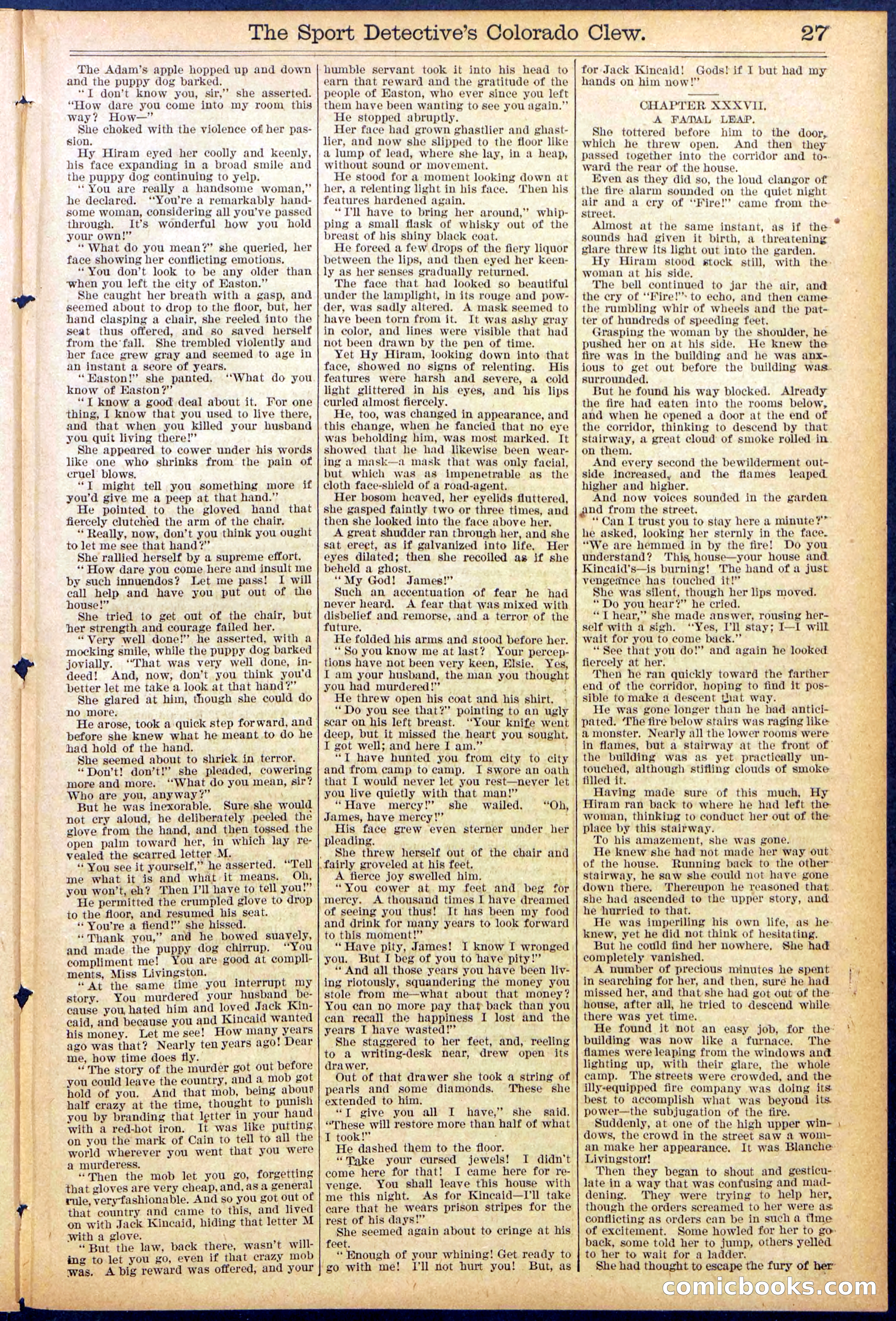 Beadle's Dime Library No. 373 (July 17, 1895) — page 27 of 32