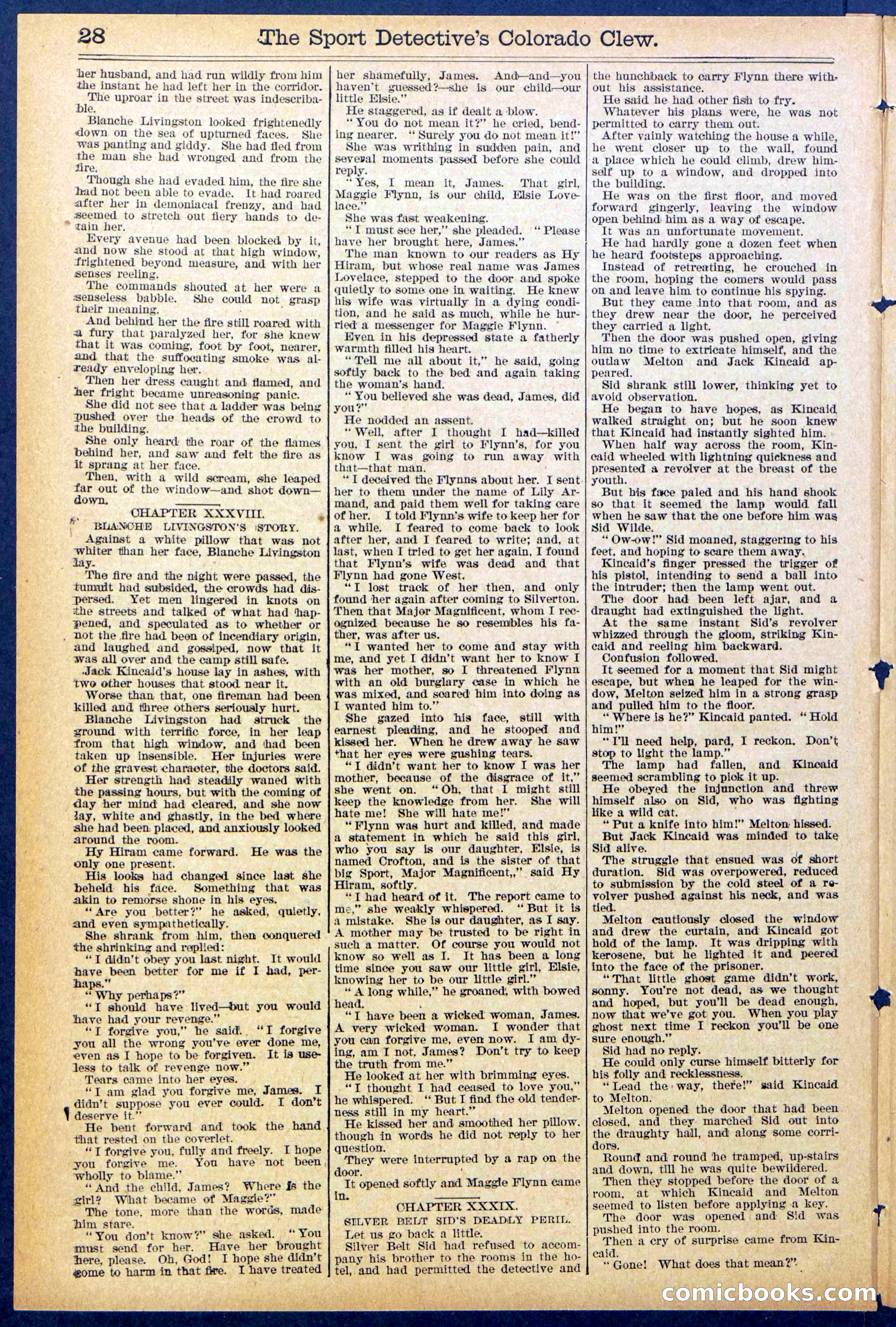 Beadle's Dime Library No. 373 (July 17, 1895) — page 28 of 32