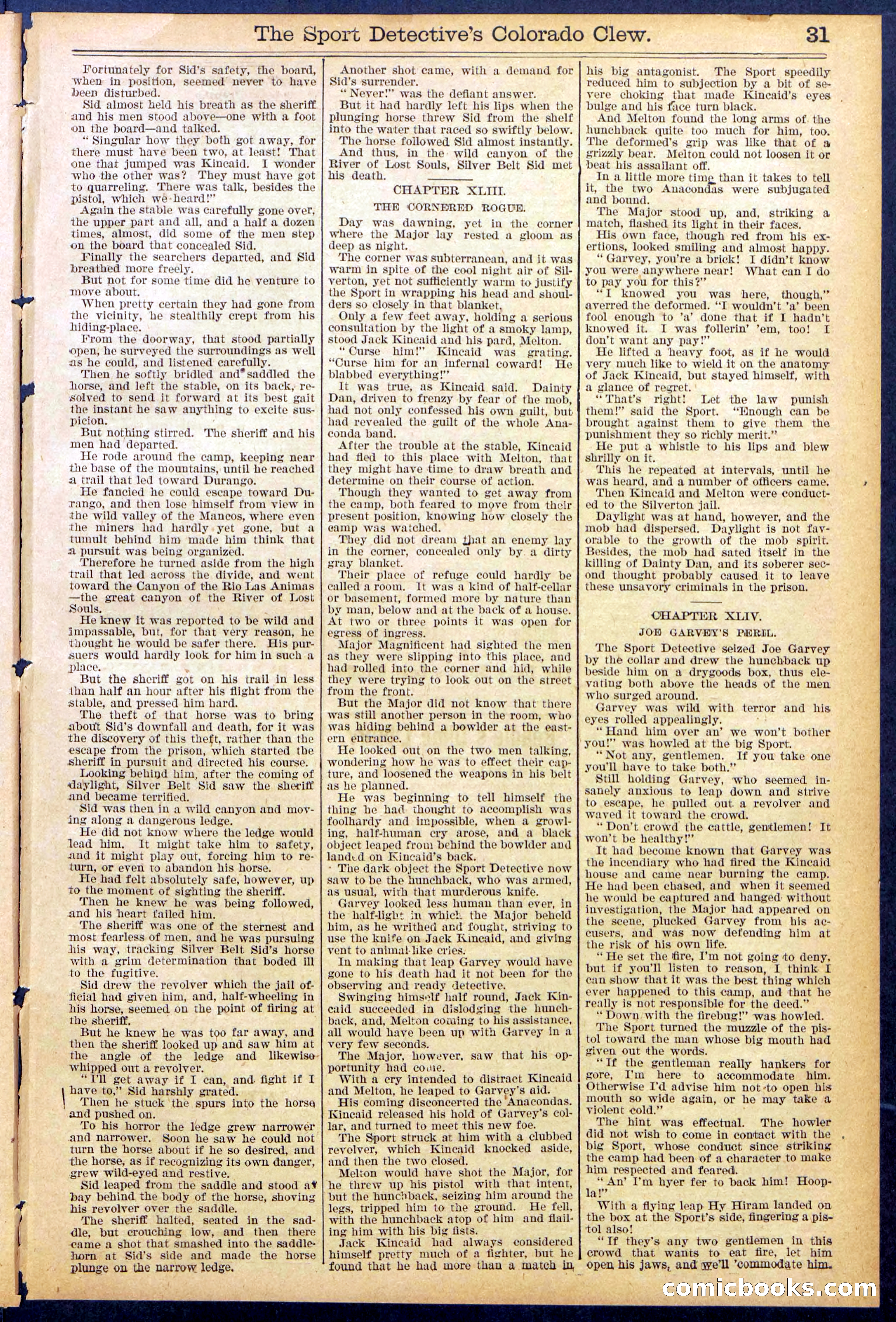 Beadle's Dime Library No. 373 (July 17, 1895) — page 31 of 32