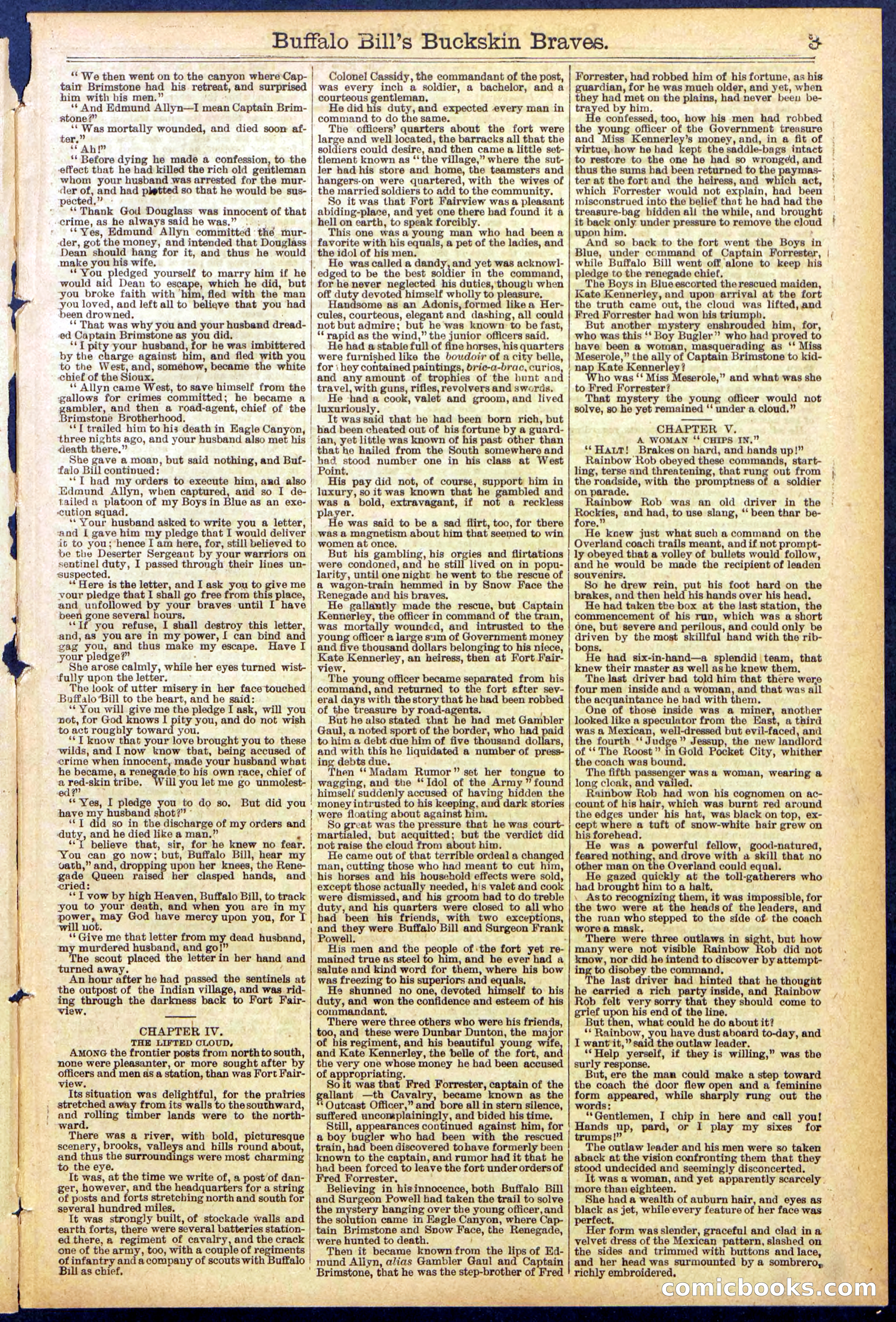 Beadle's New York Dime Library, No. 874 — page 3 of 32