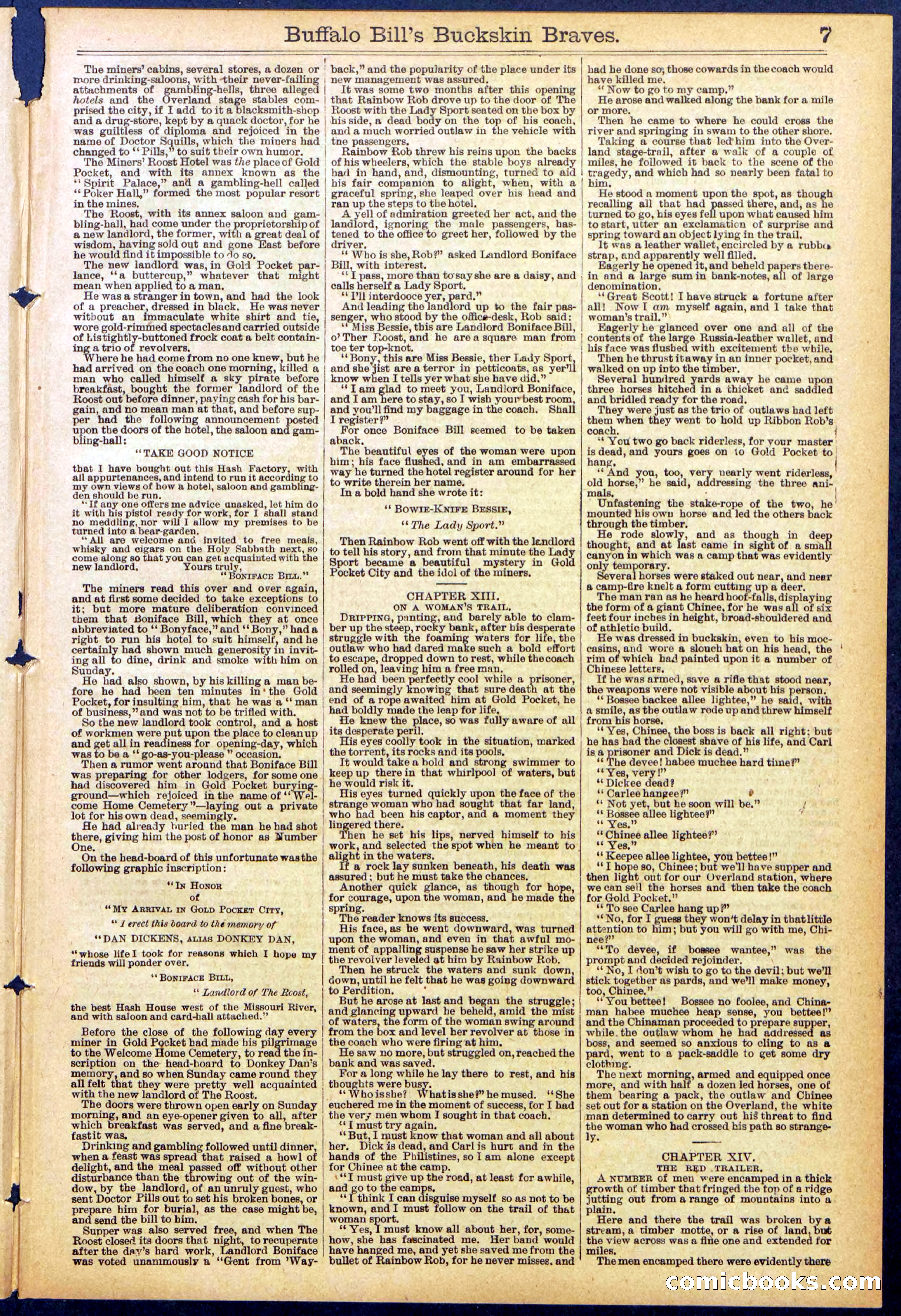 Beadle's New York Dime Library, No. 874 — page 7 of 32