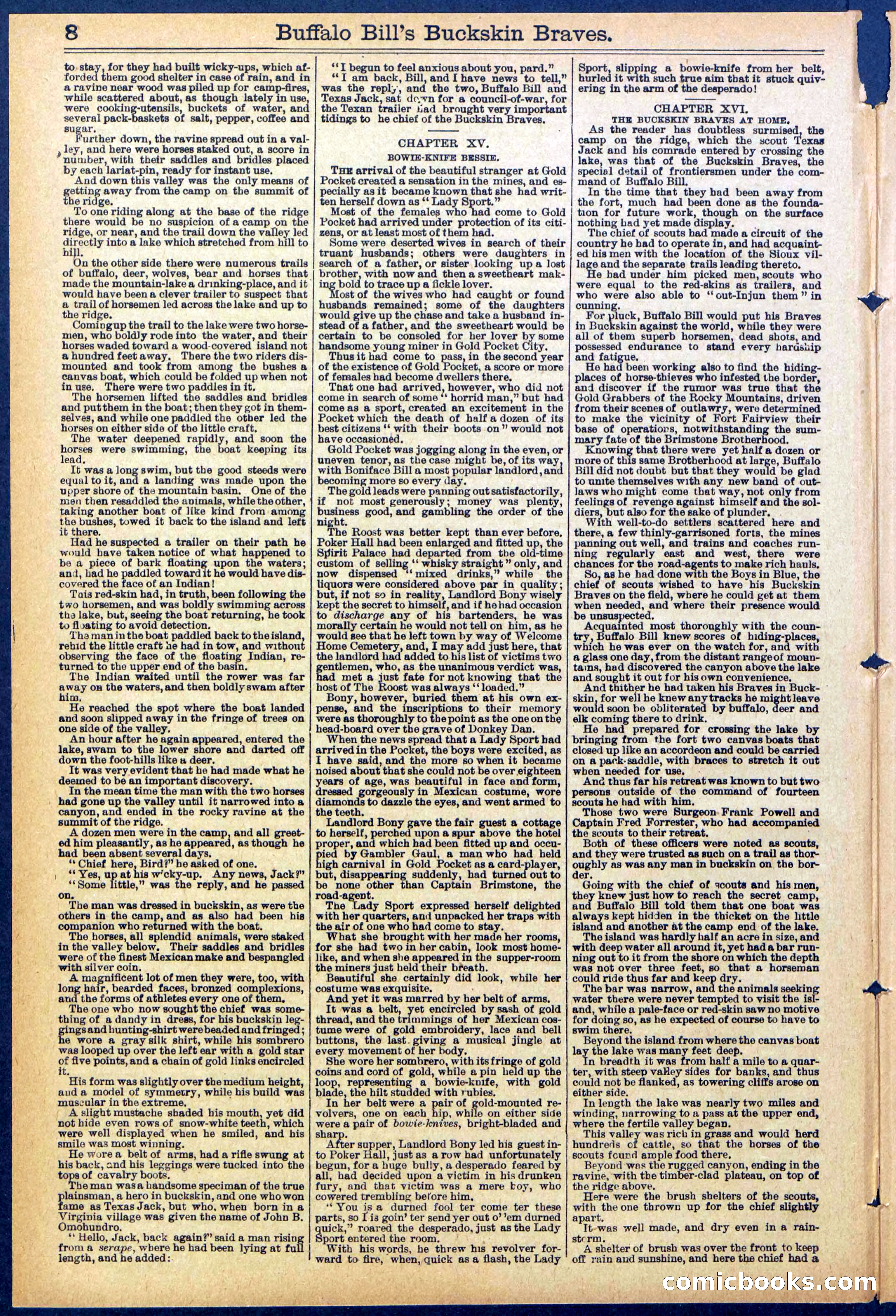 Beadle's New York Dime Library, No. 874 — page 8 of 32