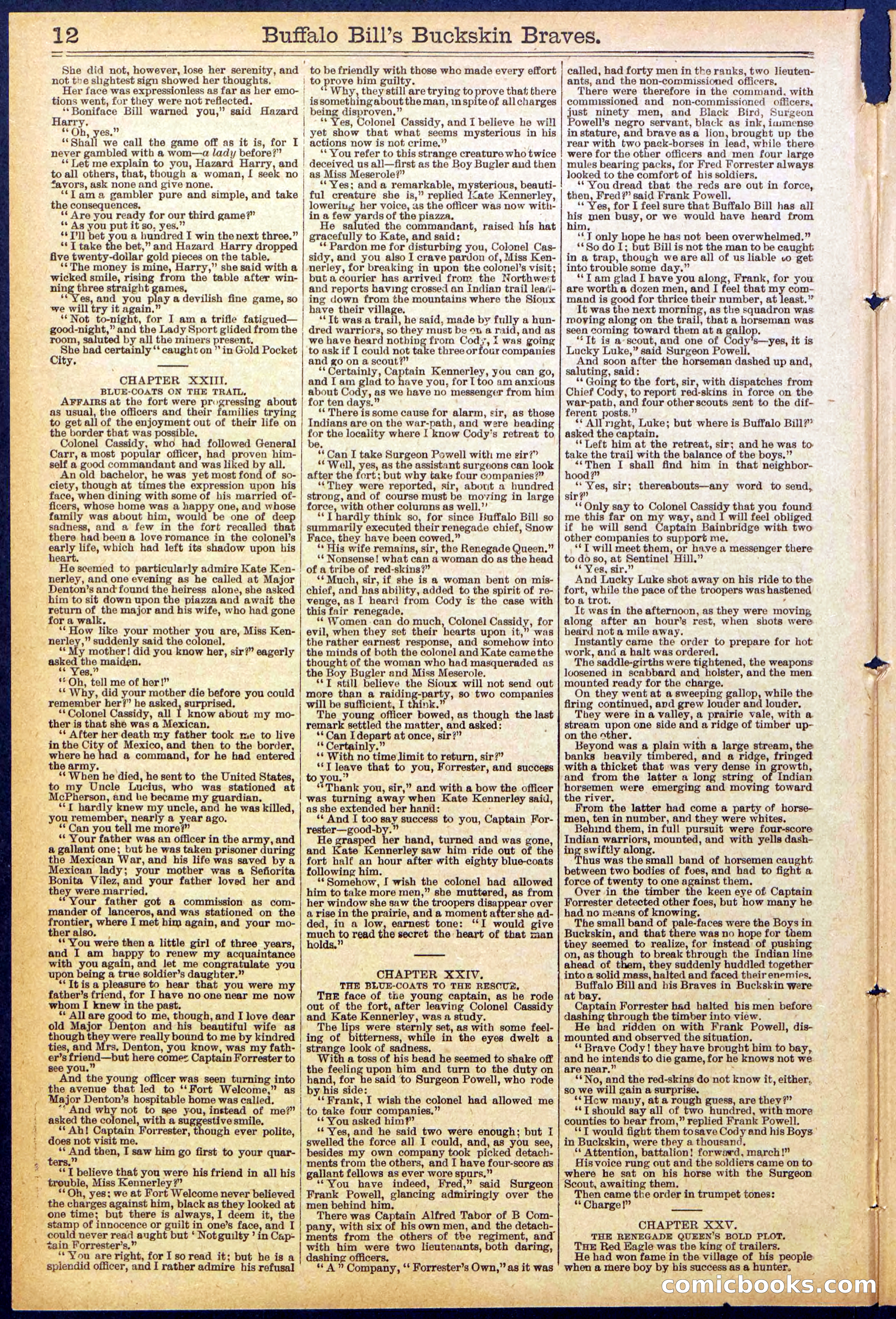 Beadle's New York Dime Library, No. 874 — page 12 of 32