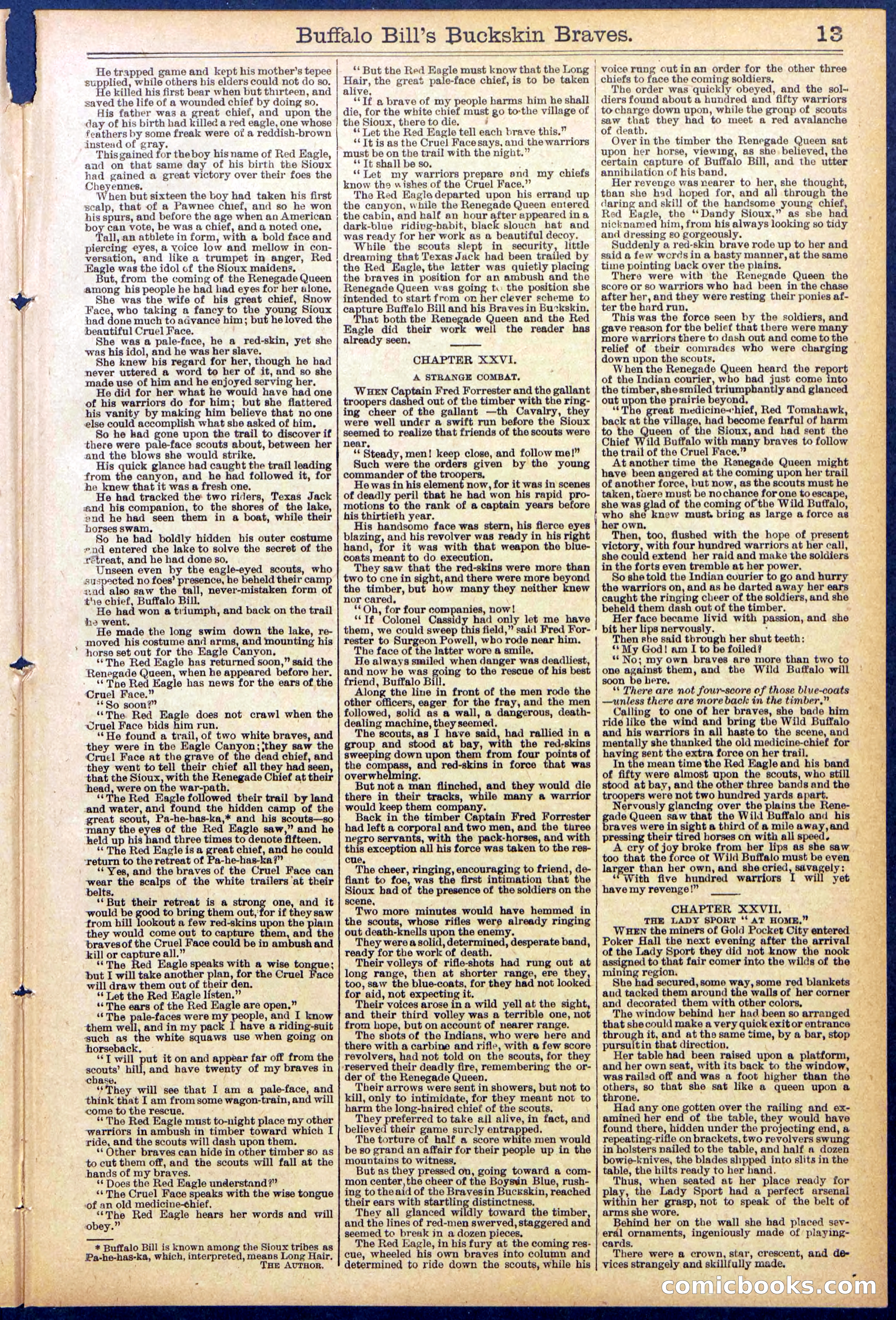 Beadle's New York Dime Library, No. 874 — page 13 of 32