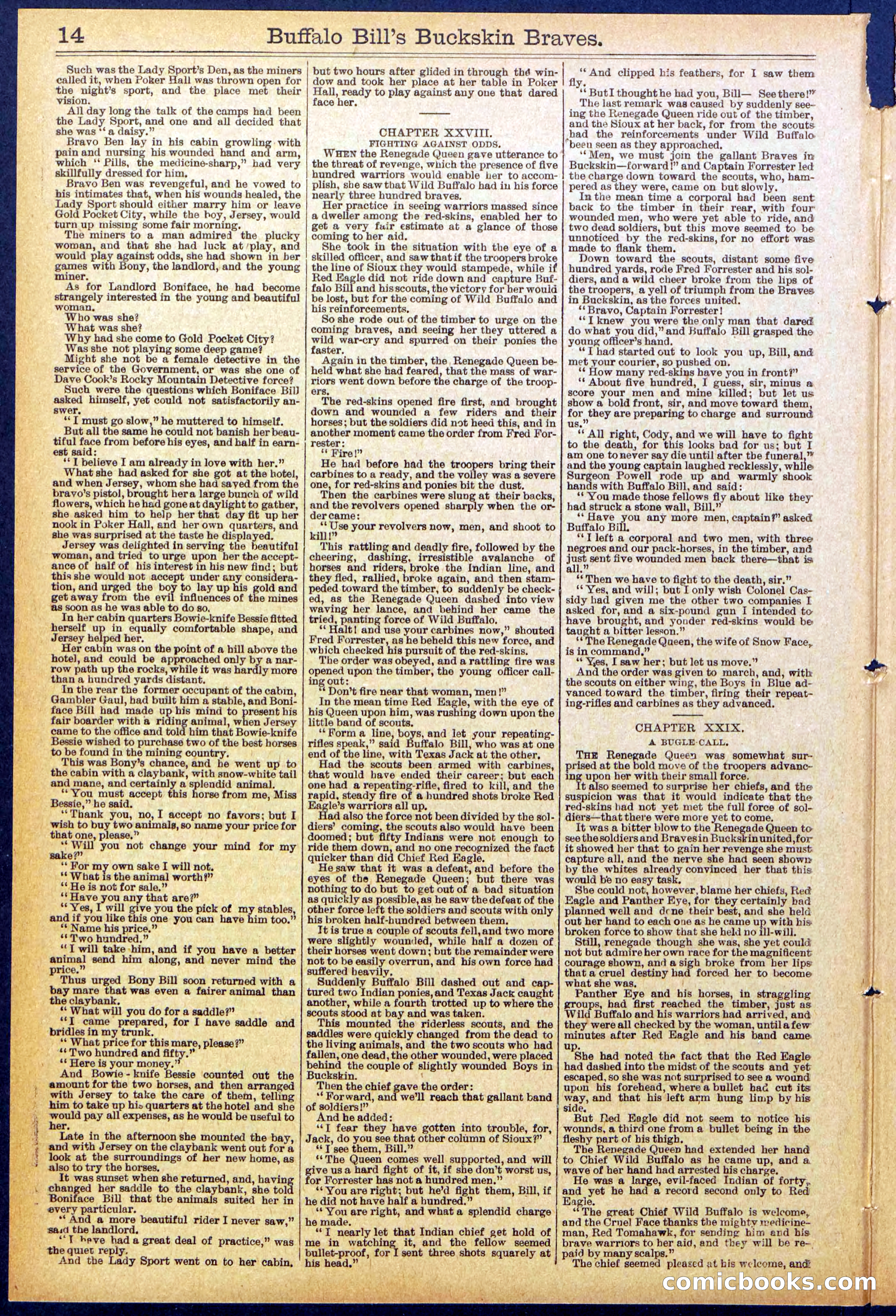 Beadle's New York Dime Library, No. 874 — page 14 of 32