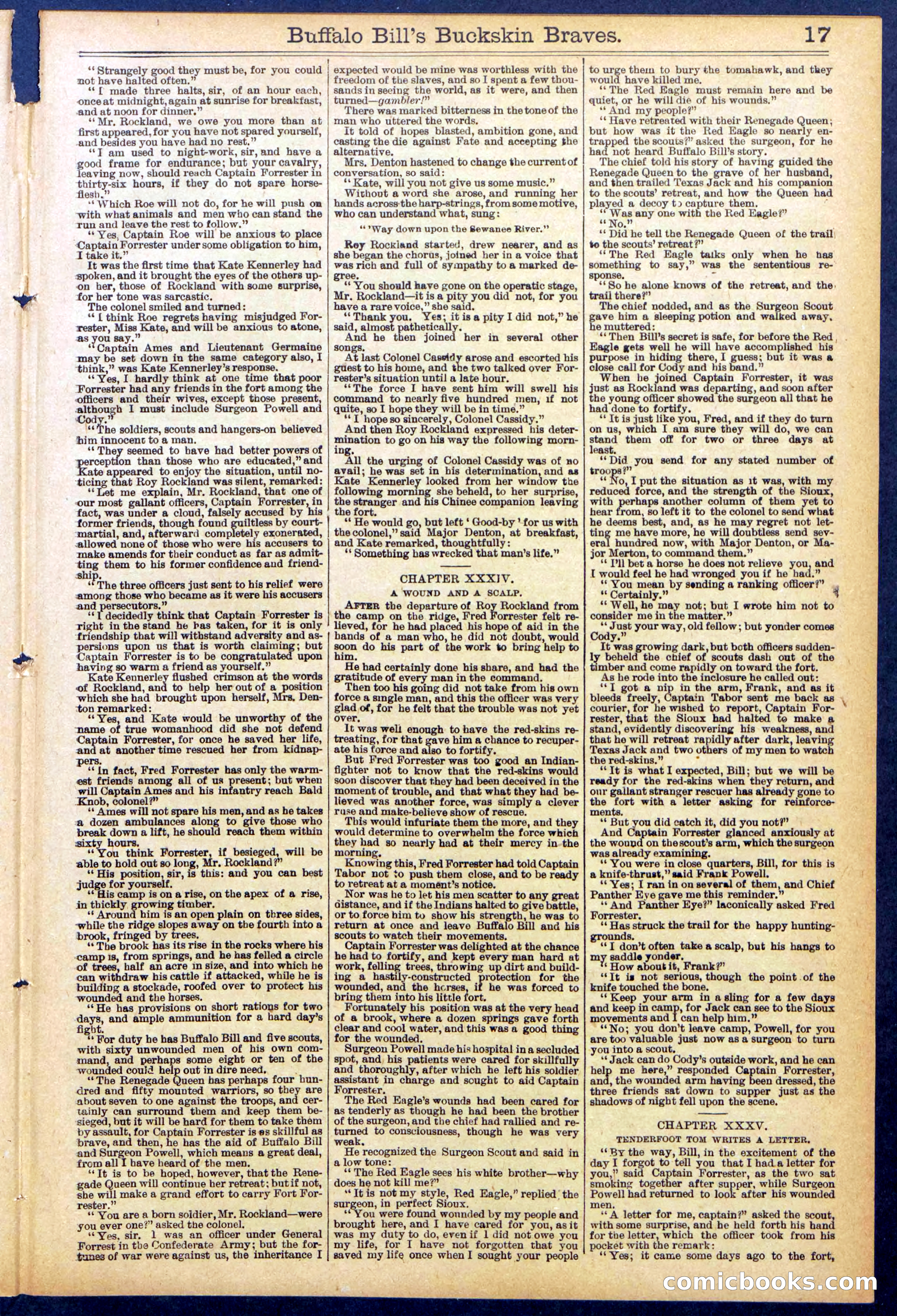 Beadle's New York Dime Library, No. 874 — page 17 of 32