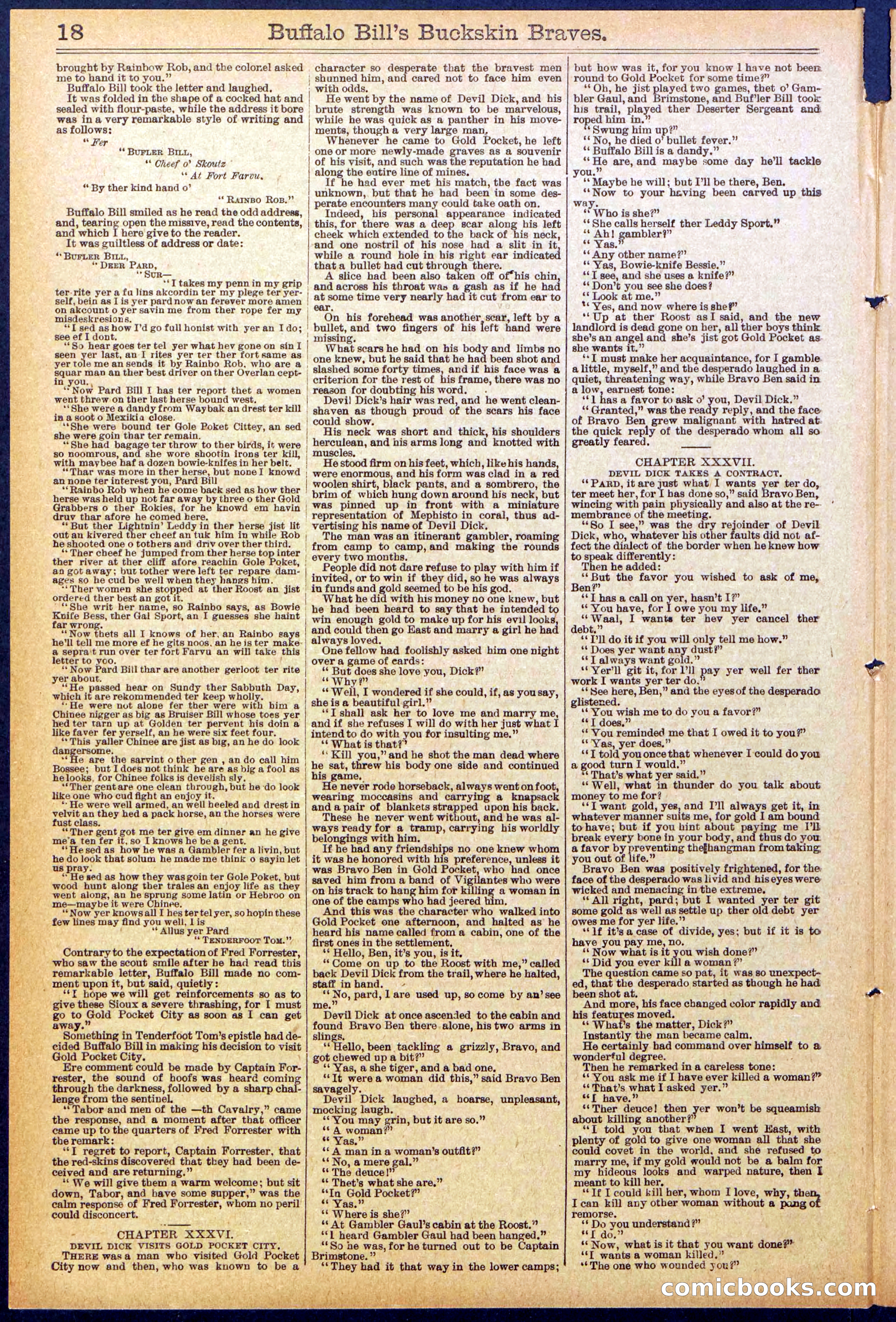 Beadle's New York Dime Library, No. 874 — page 18 of 32