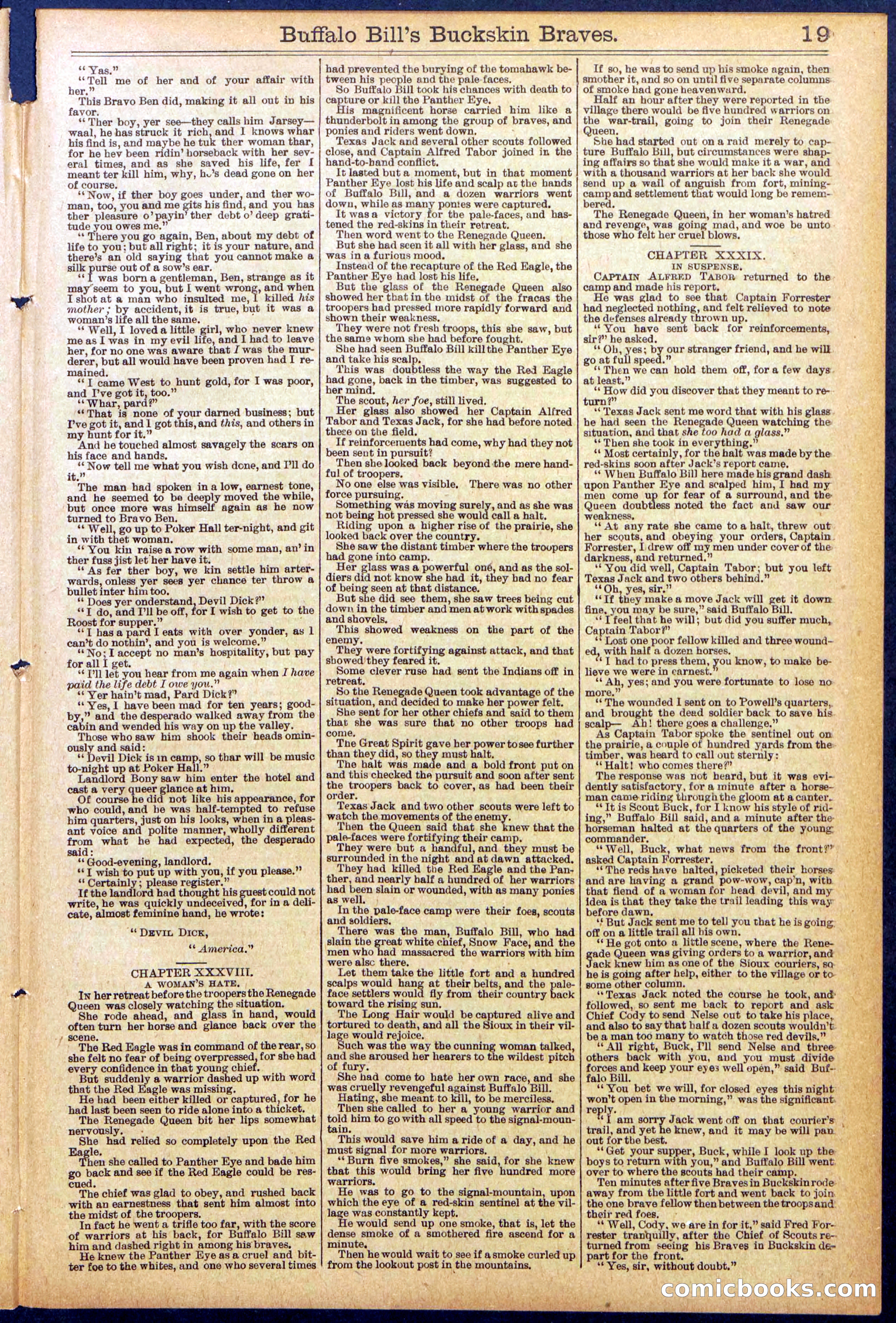 Beadle's New York Dime Library, No. 874 — page 19 of 32