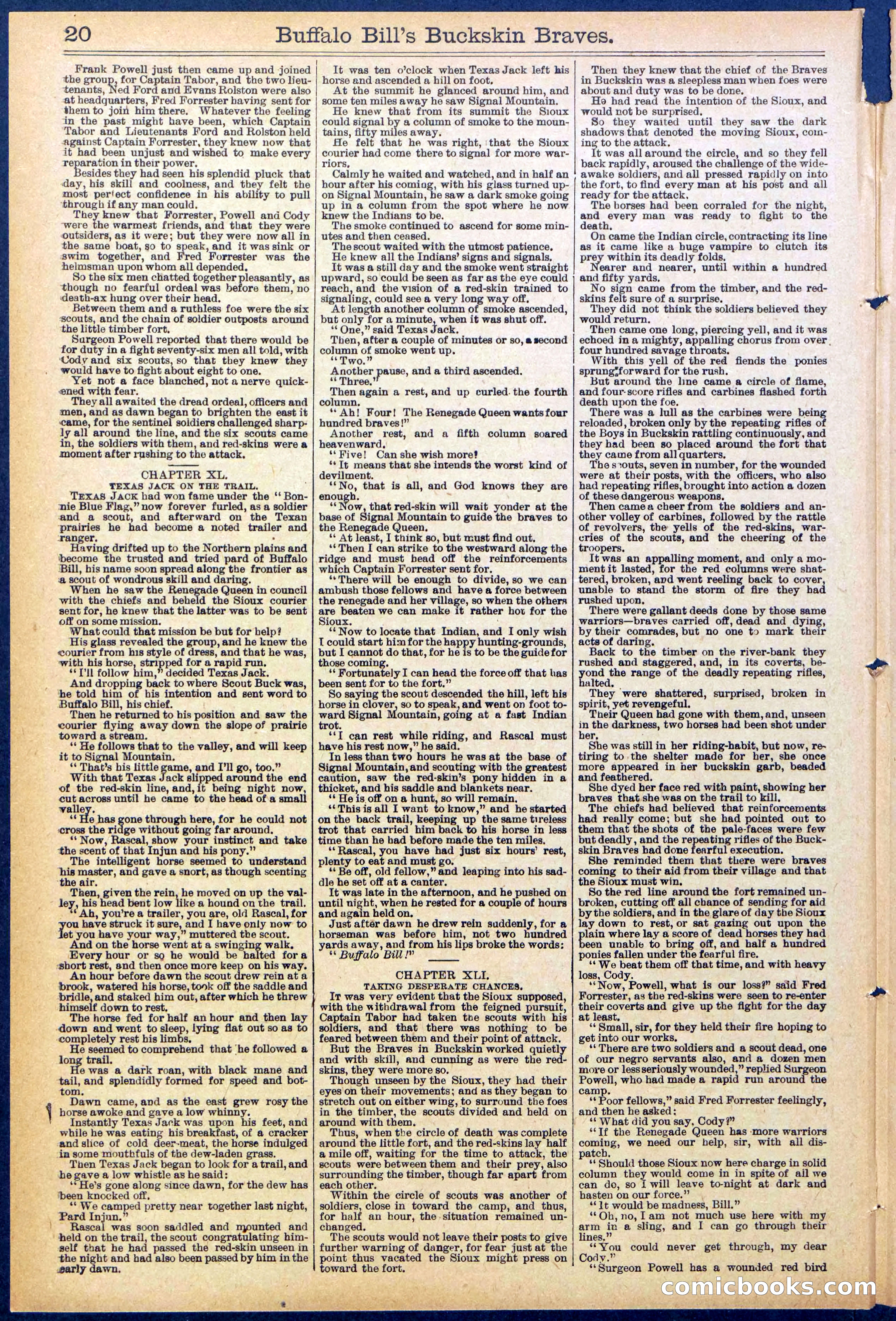 Beadle's New York Dime Library, No. 874 — page 20 of 32