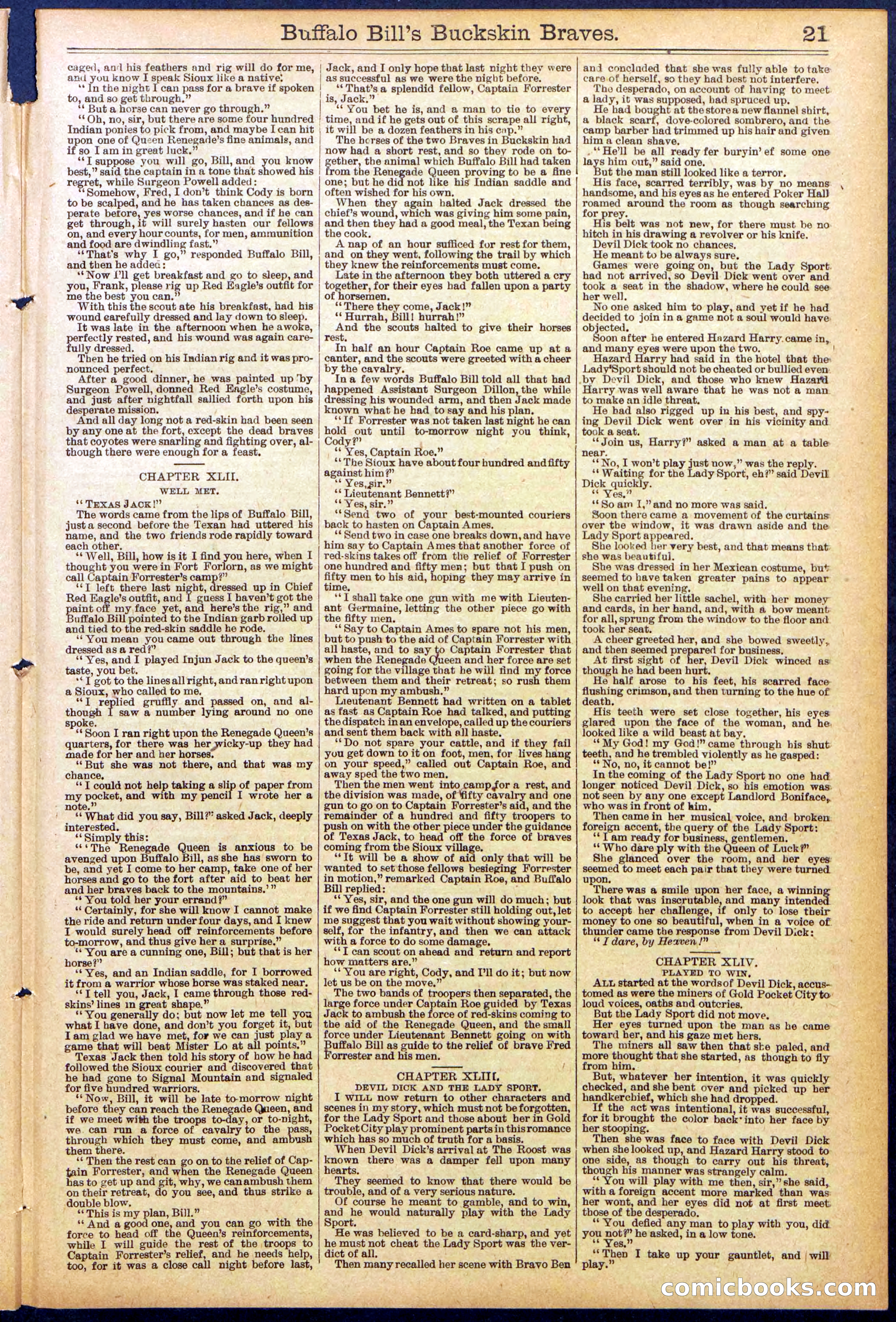 Beadle's New York Dime Library, No. 874 — page 21 of 32