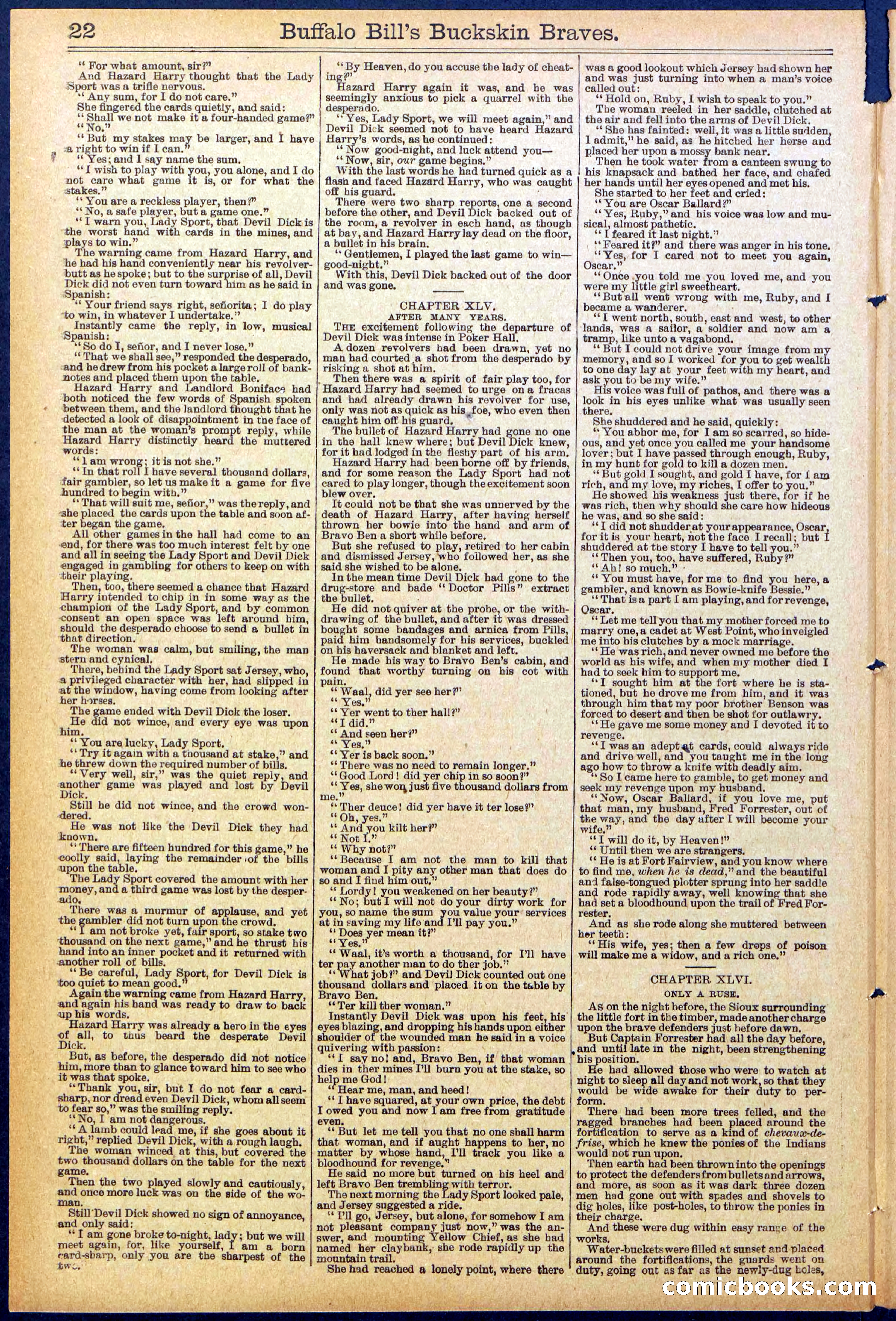 Beadle's New York Dime Library, No. 874 — page 22 of 32