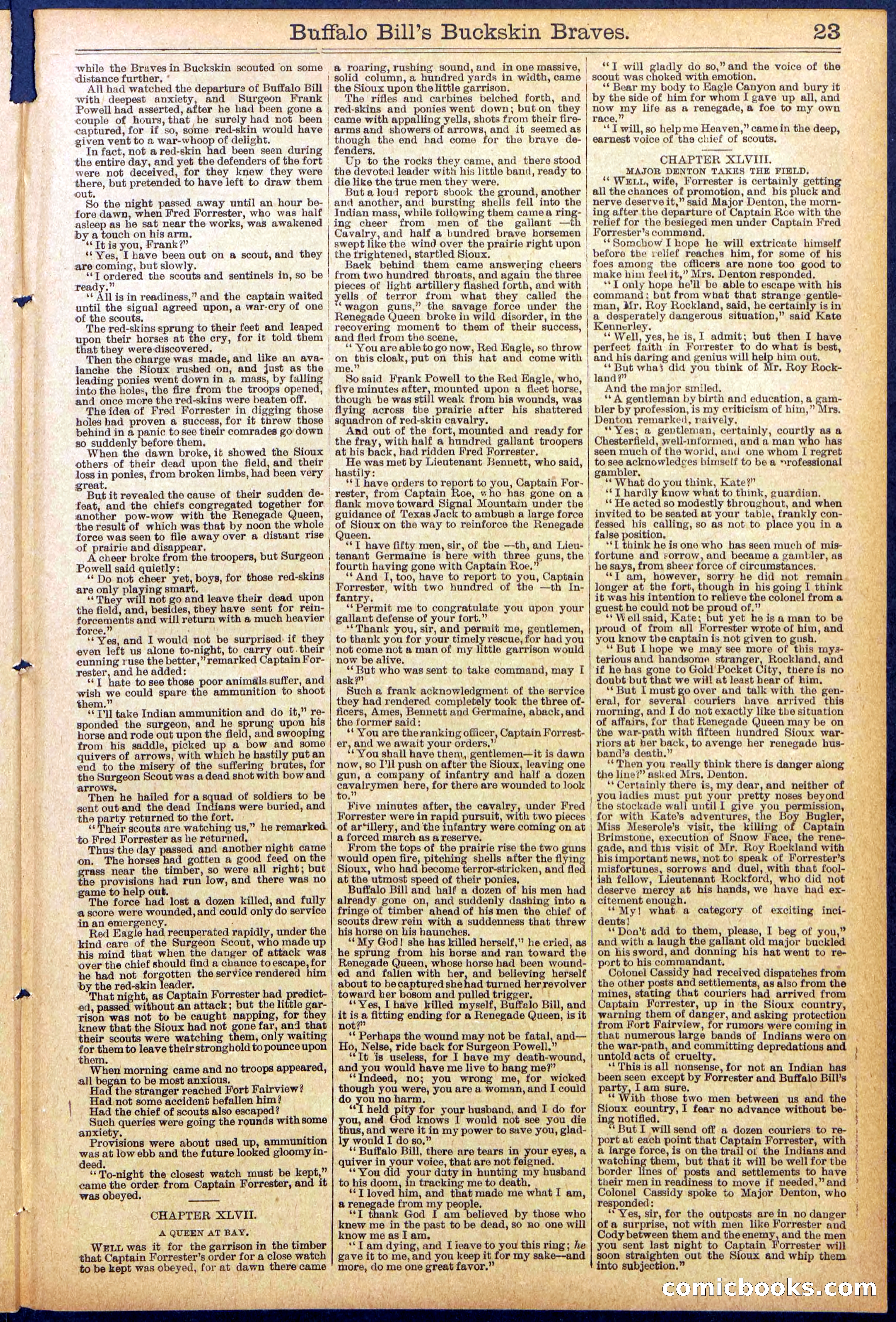 Beadle's New York Dime Library, No. 874 — page 23 of 32