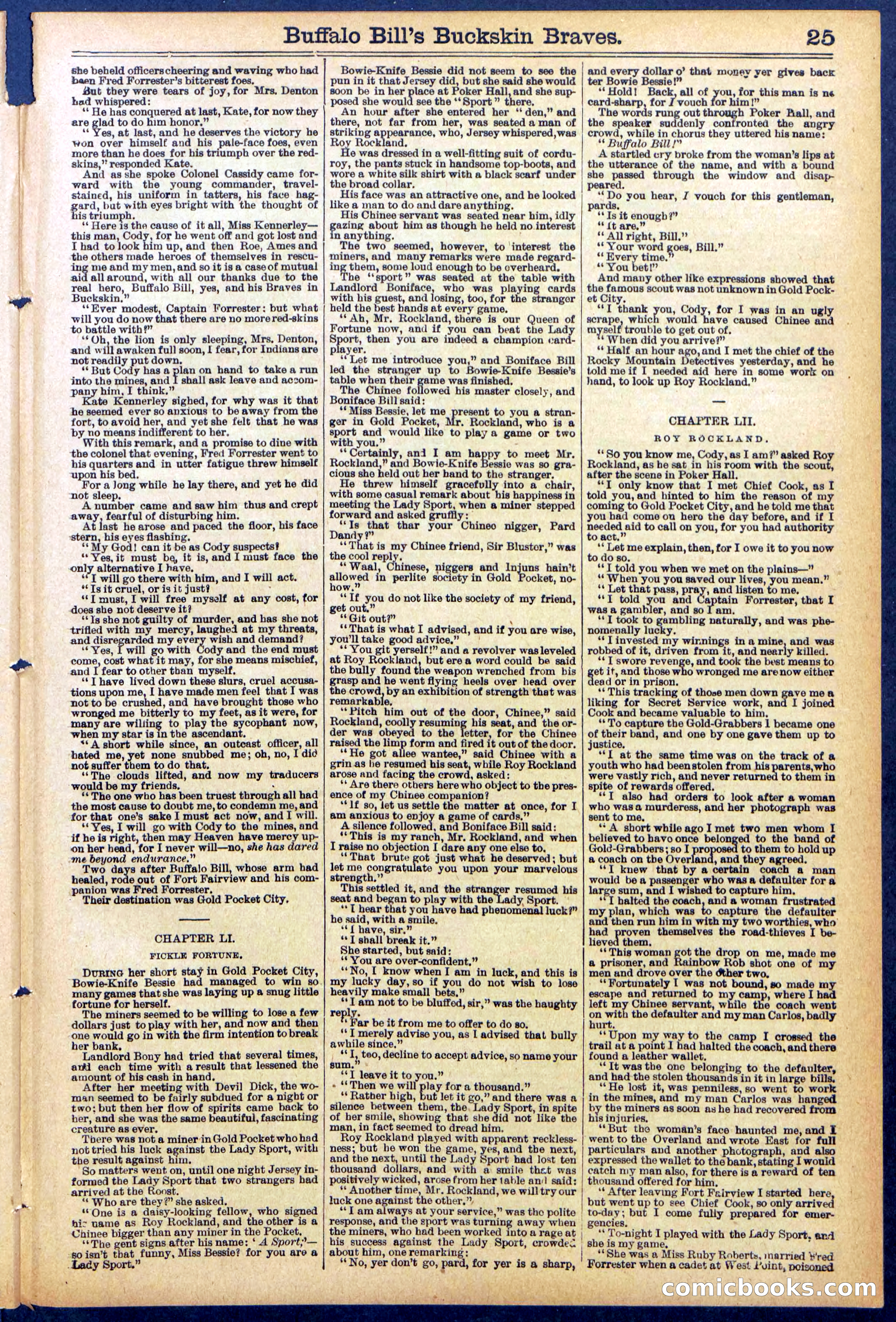 Beadle's New York Dime Library, No. 874 — page 25 of 32