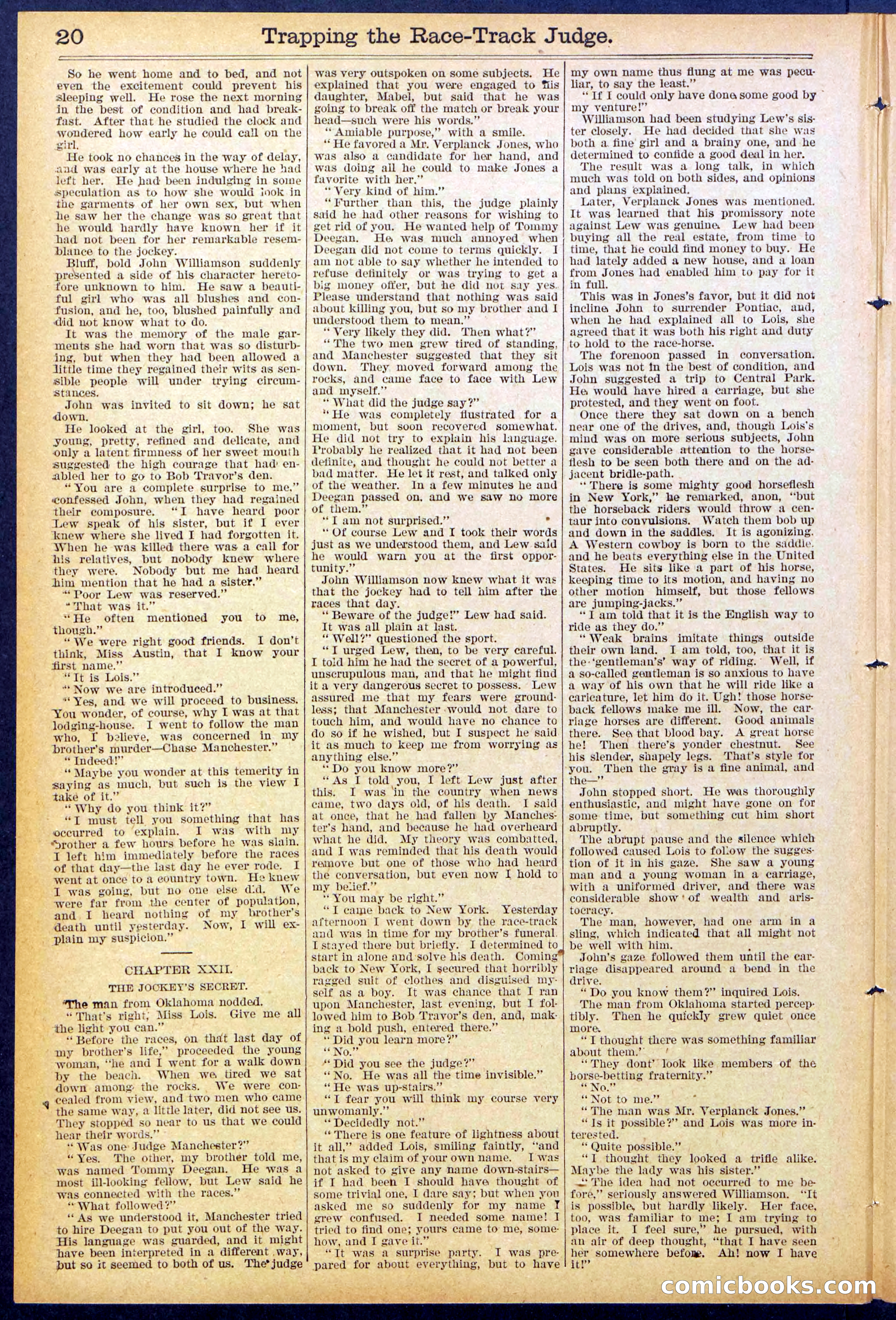 Beadle's New York Dime Library No. 875 — page 20 of 32