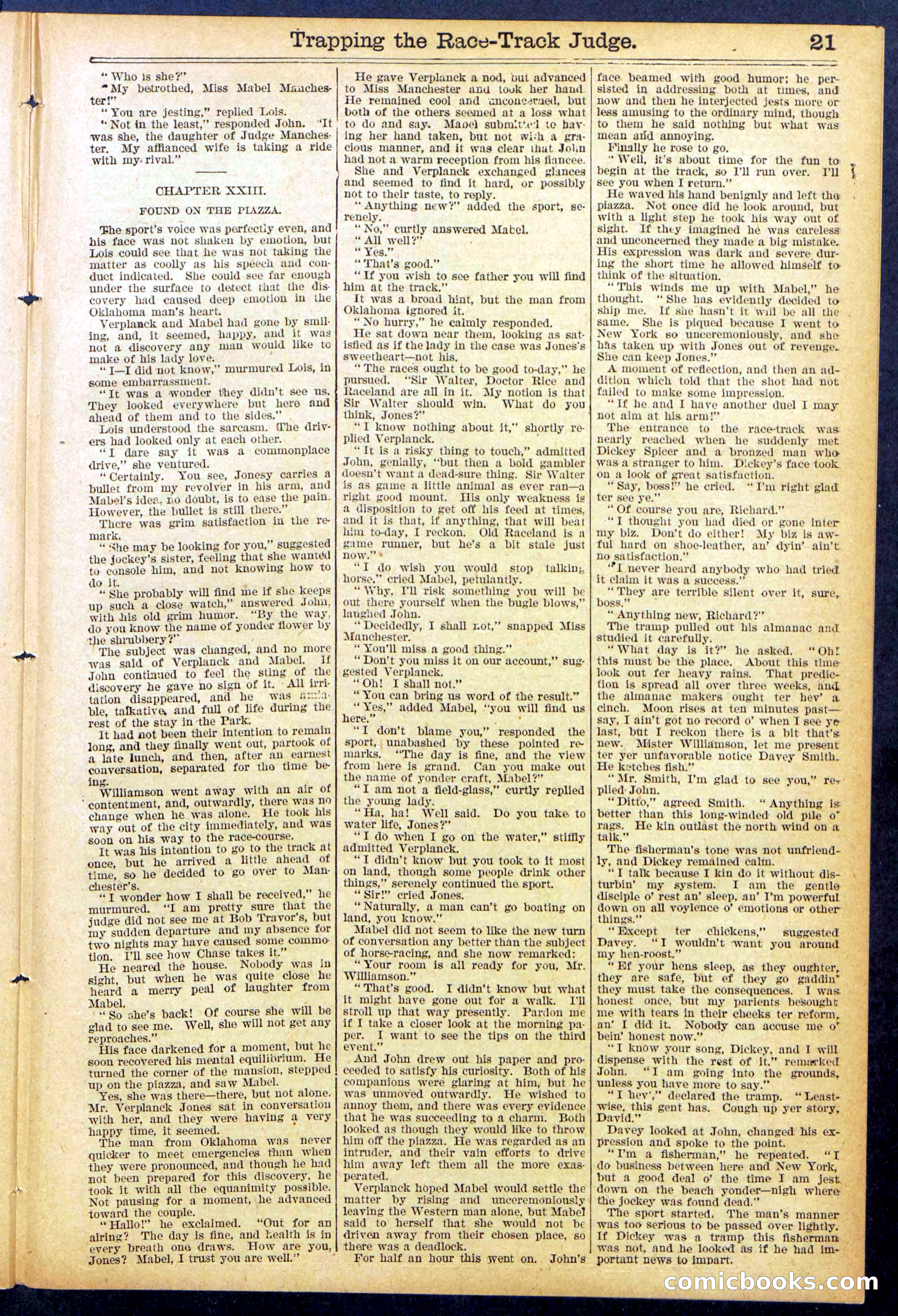 Beadle's New York Dime Library No. 875 — page 21 of 32