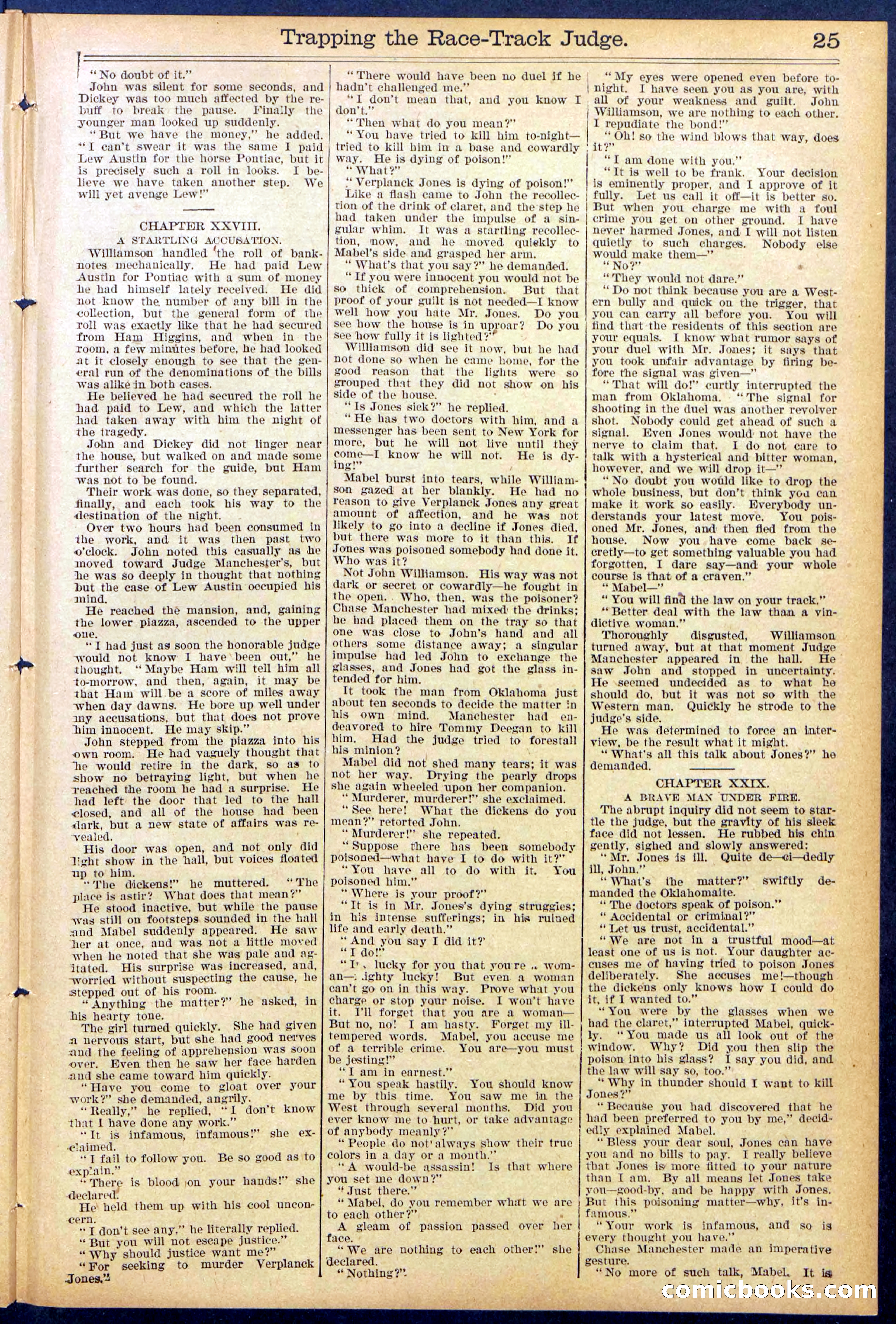 Beadle's New York Dime Library No. 875 — page 25 of 32