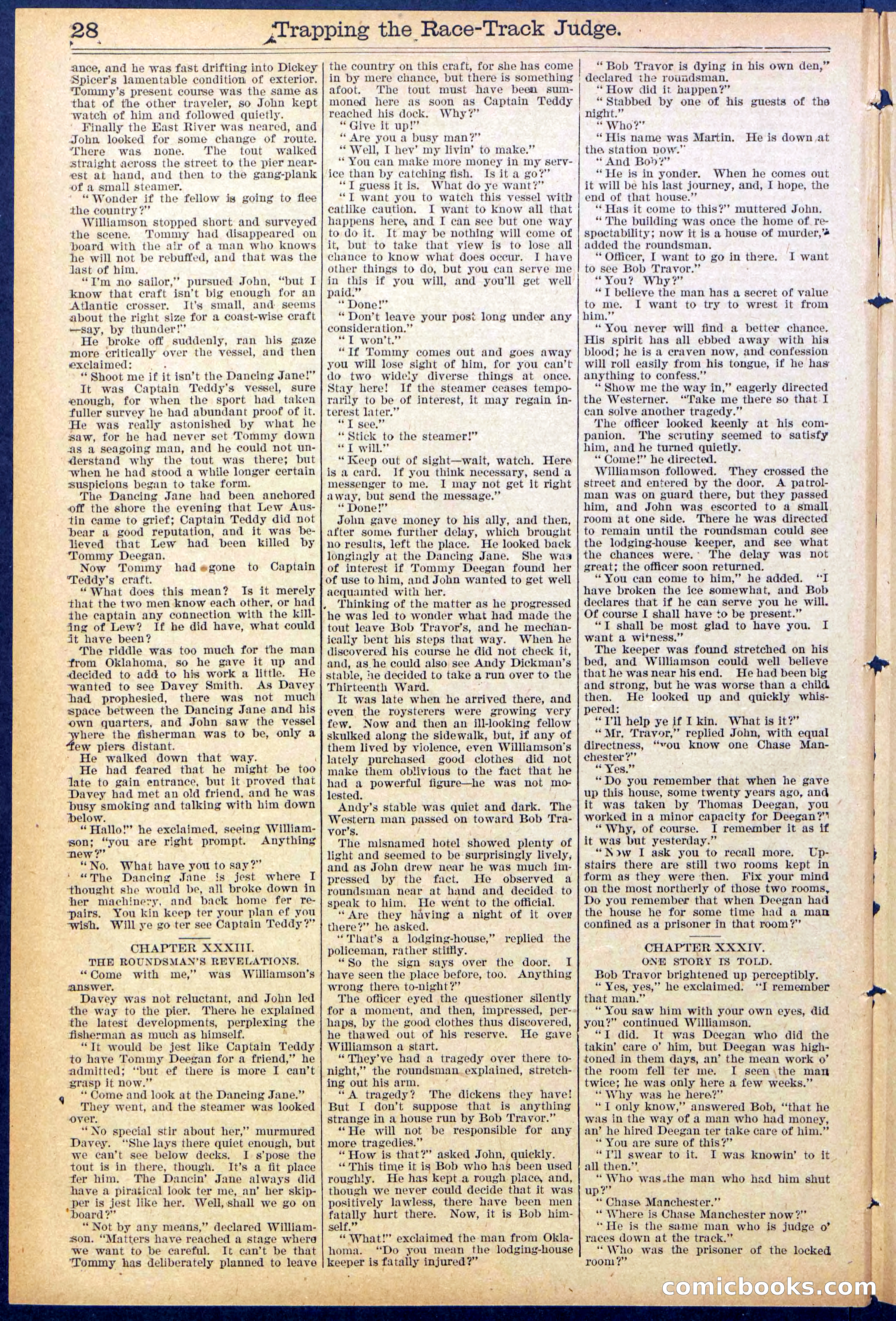 Beadle's New York Dime Library No. 875 — page 28 of 32