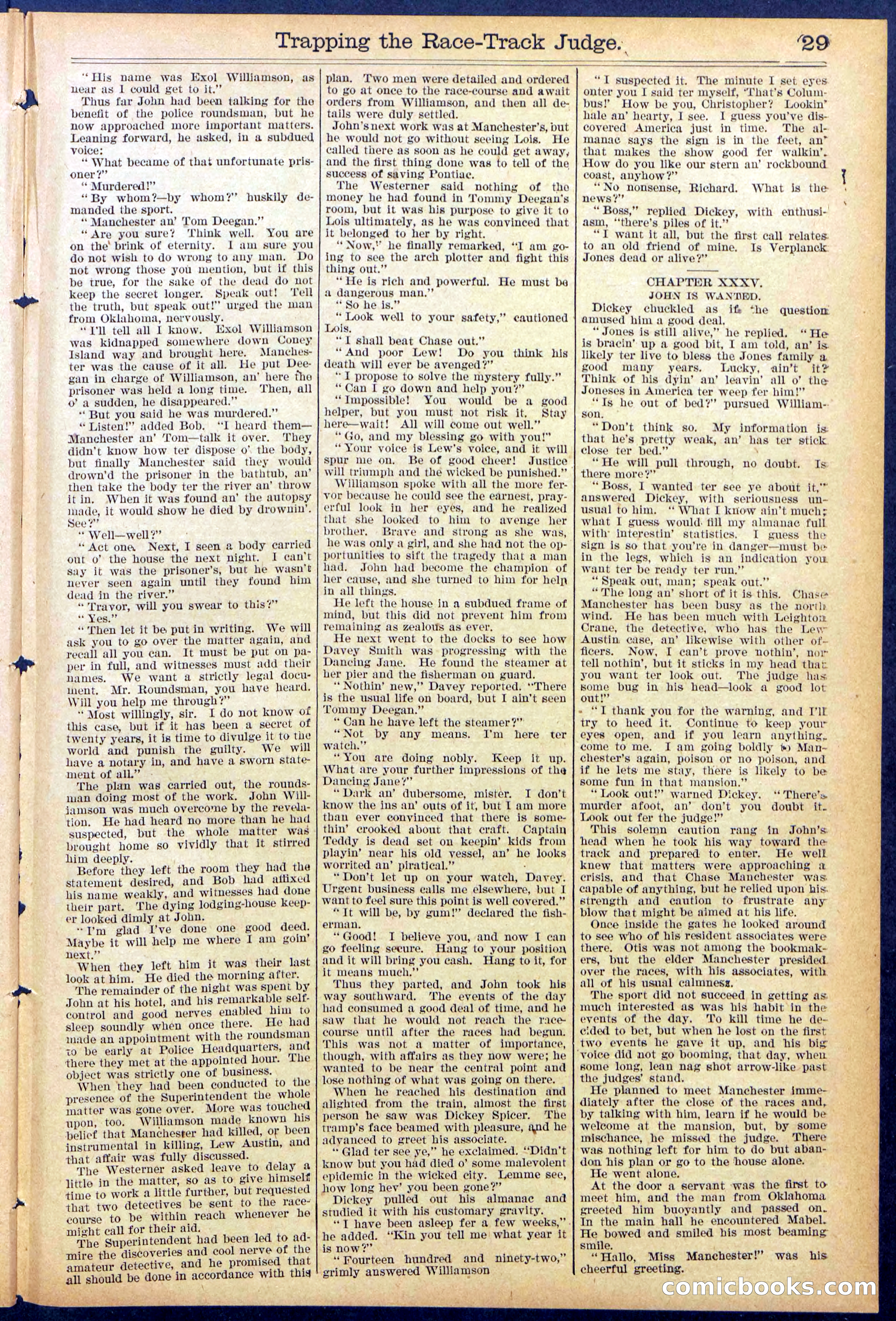Beadle's New York Dime Library No. 875 — page 29 of 32