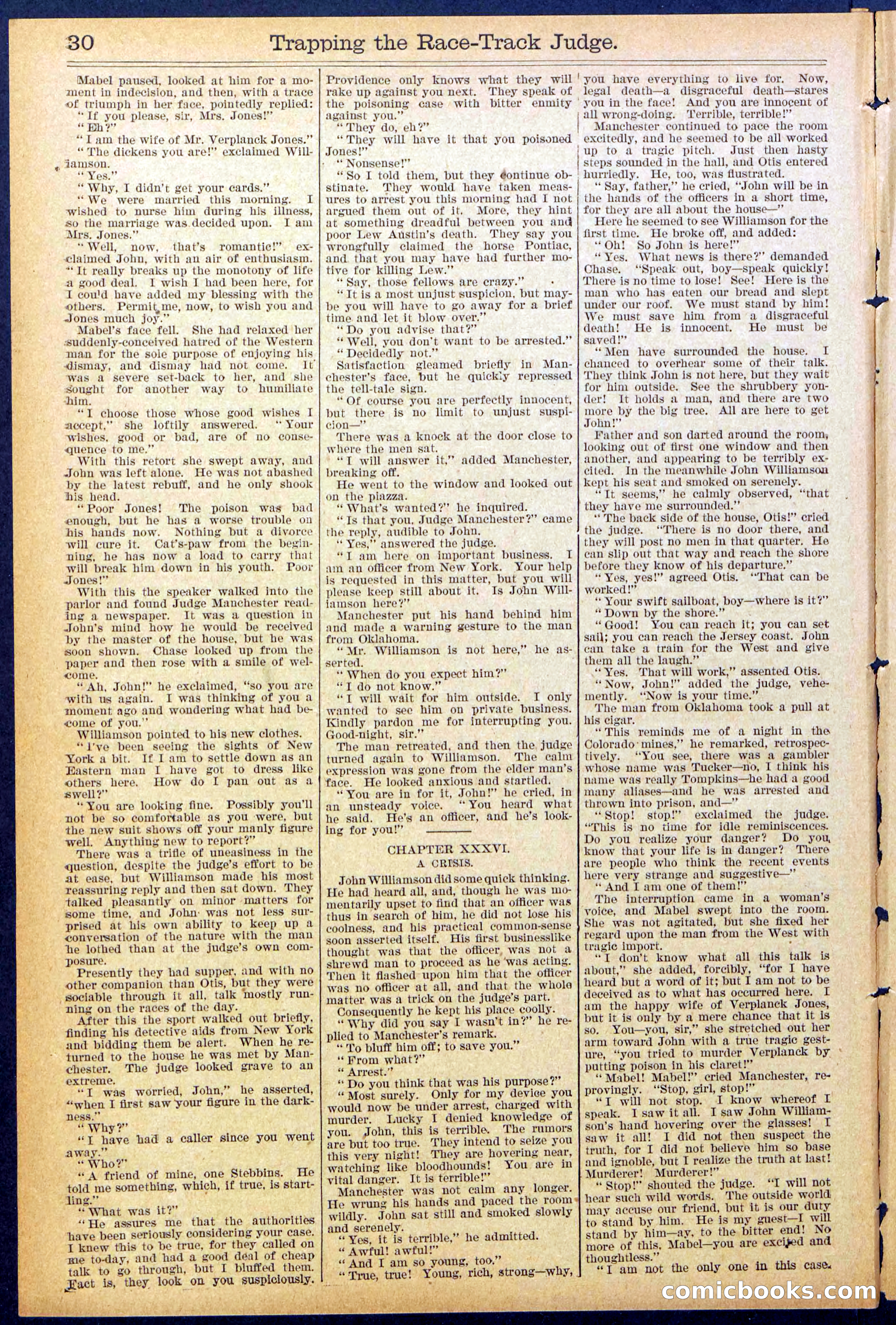 Beadle's New York Dime Library No. 875 — page 30 of 32