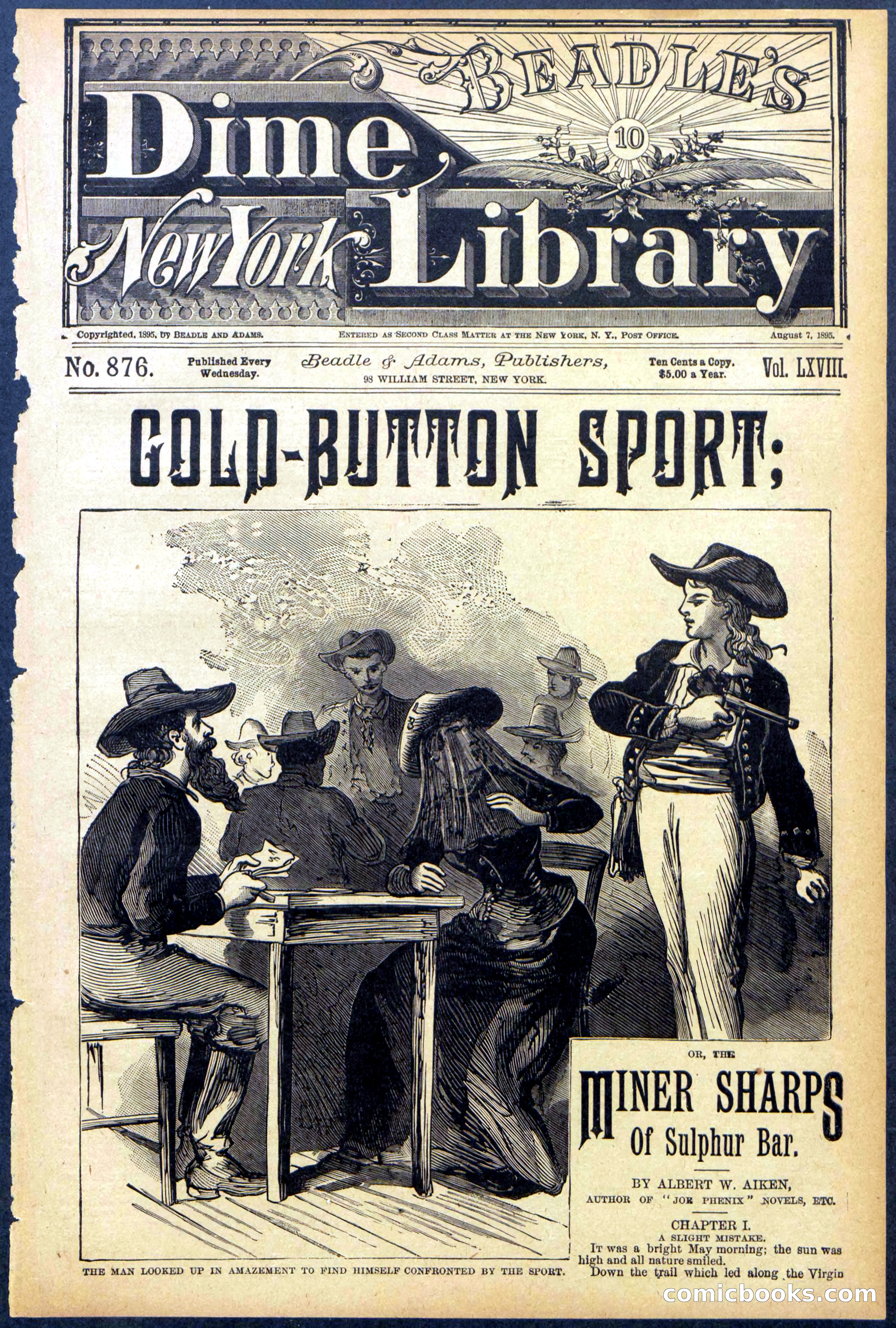 Beadle's Dime Library No. 876