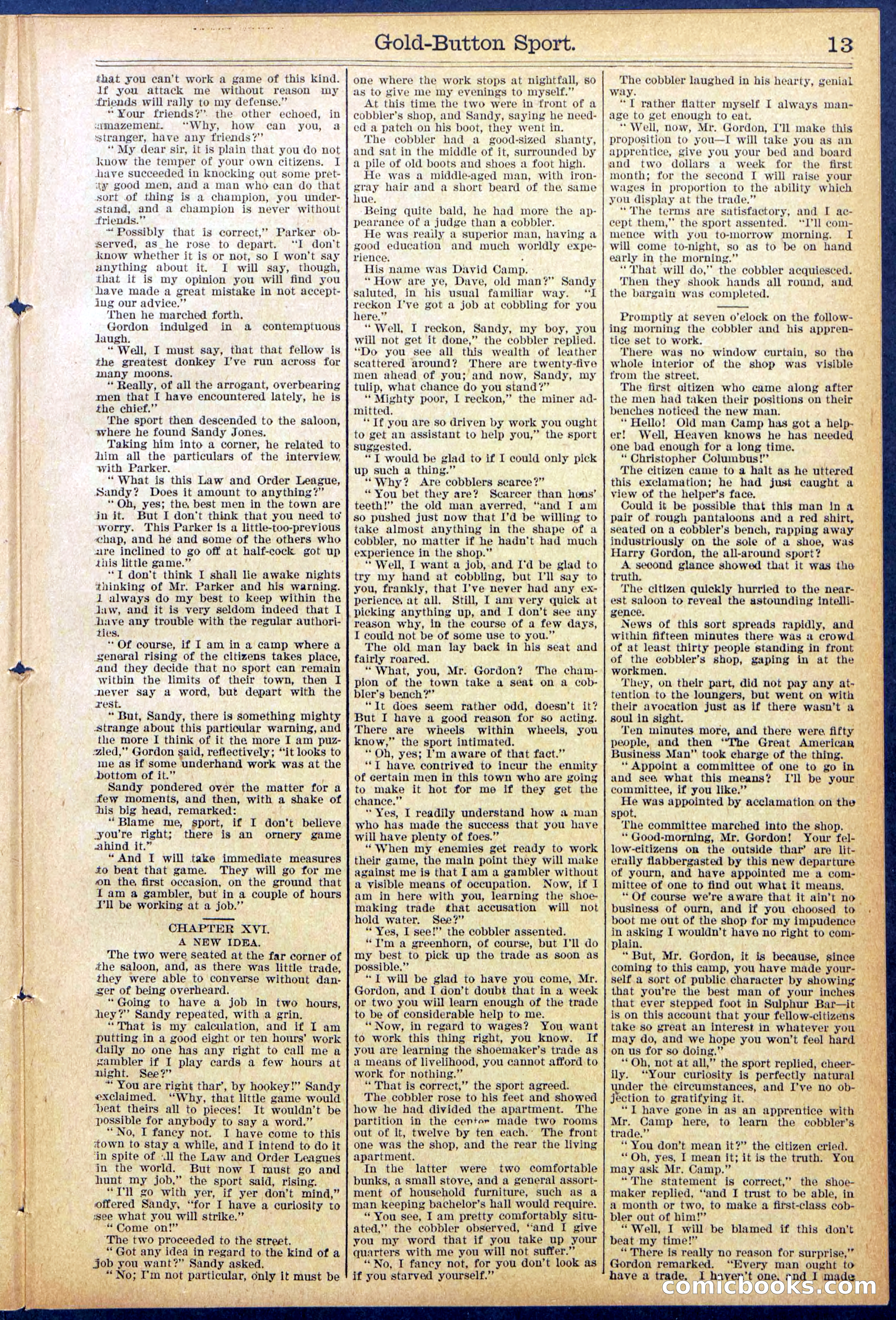 Beadle's Dime Library No. 876 — page 13 of 32