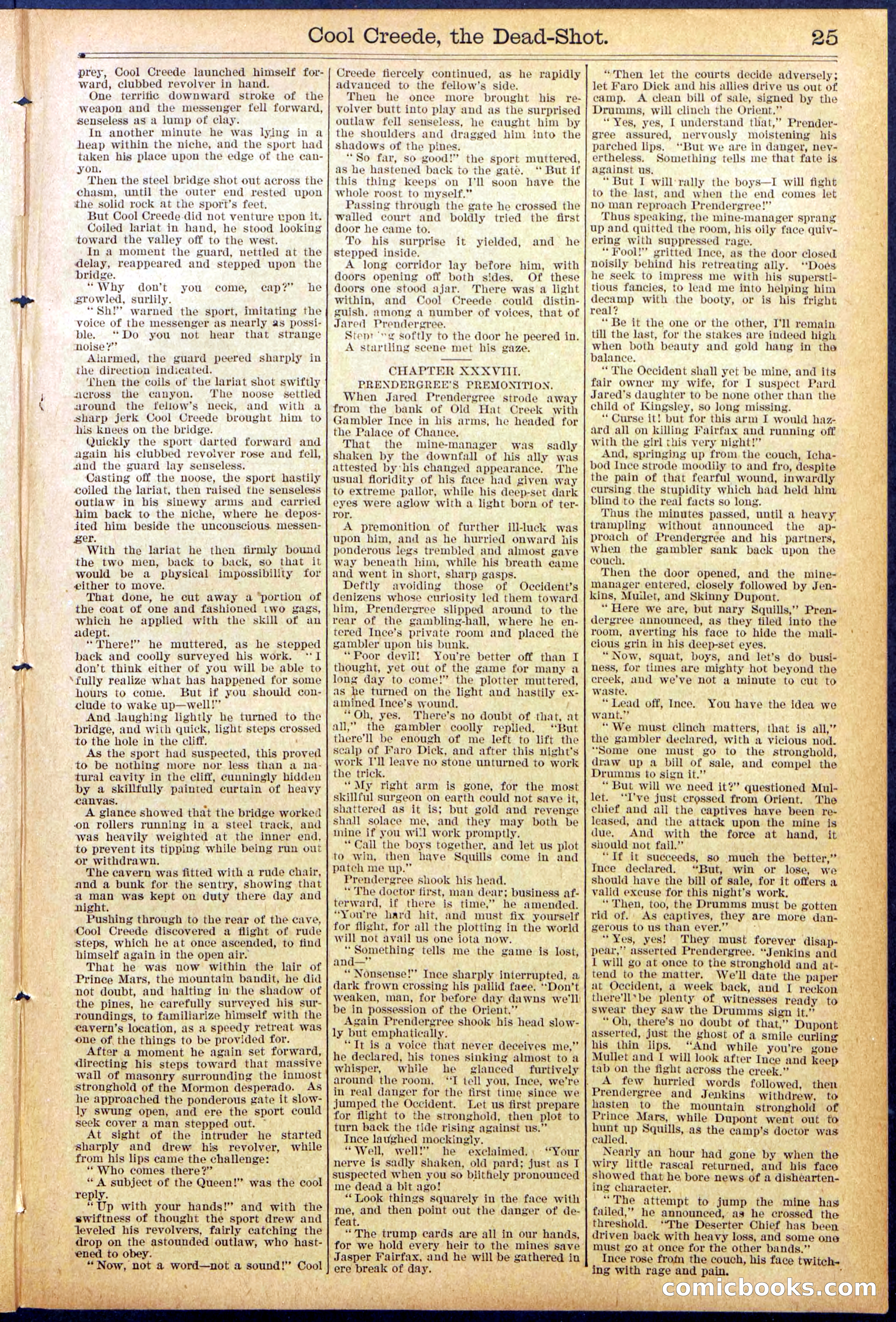 Beadle's Dime Library No. 877 — page 25 of 32