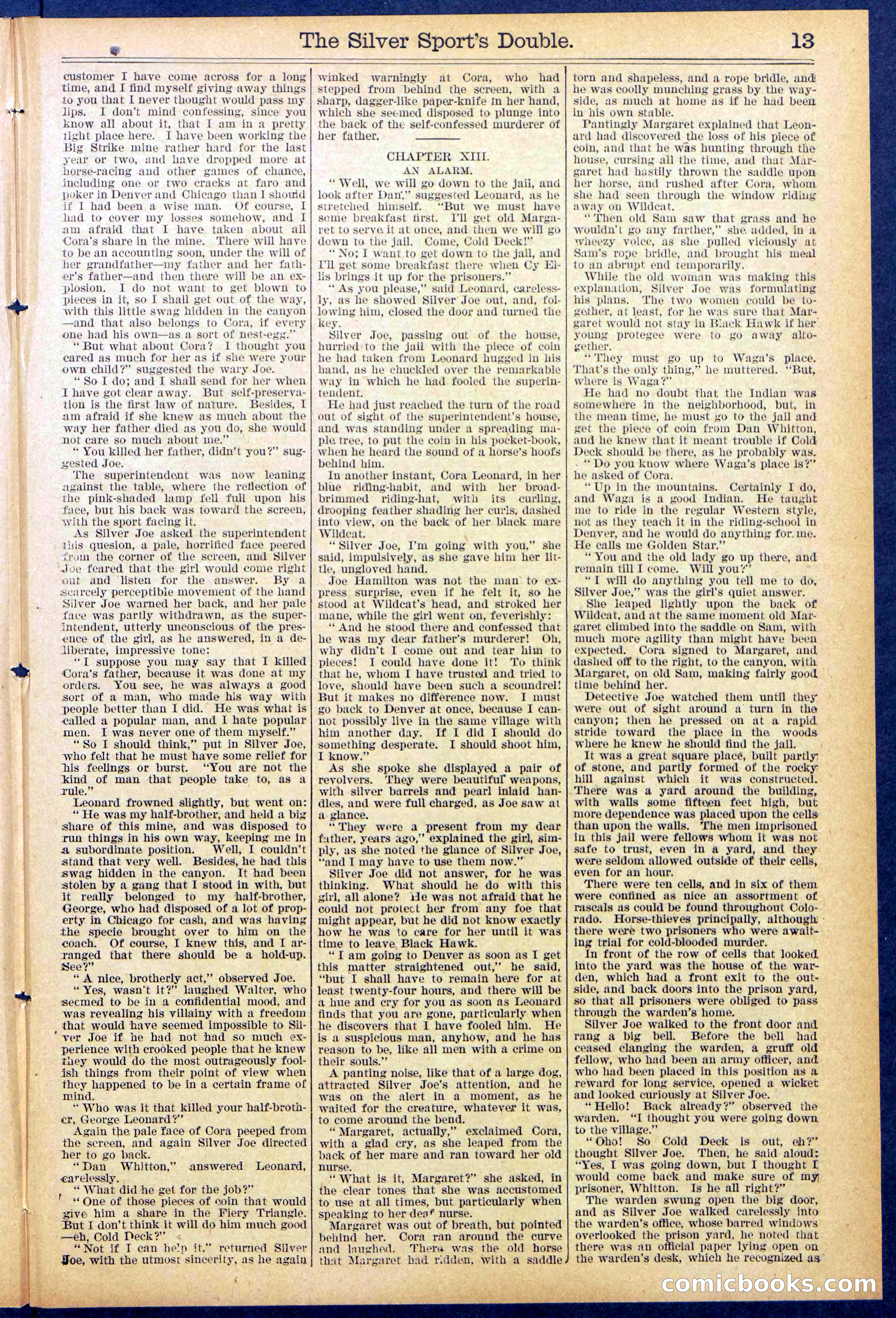 Beadle's New York Dime Library No. 880 — page 13 of 32