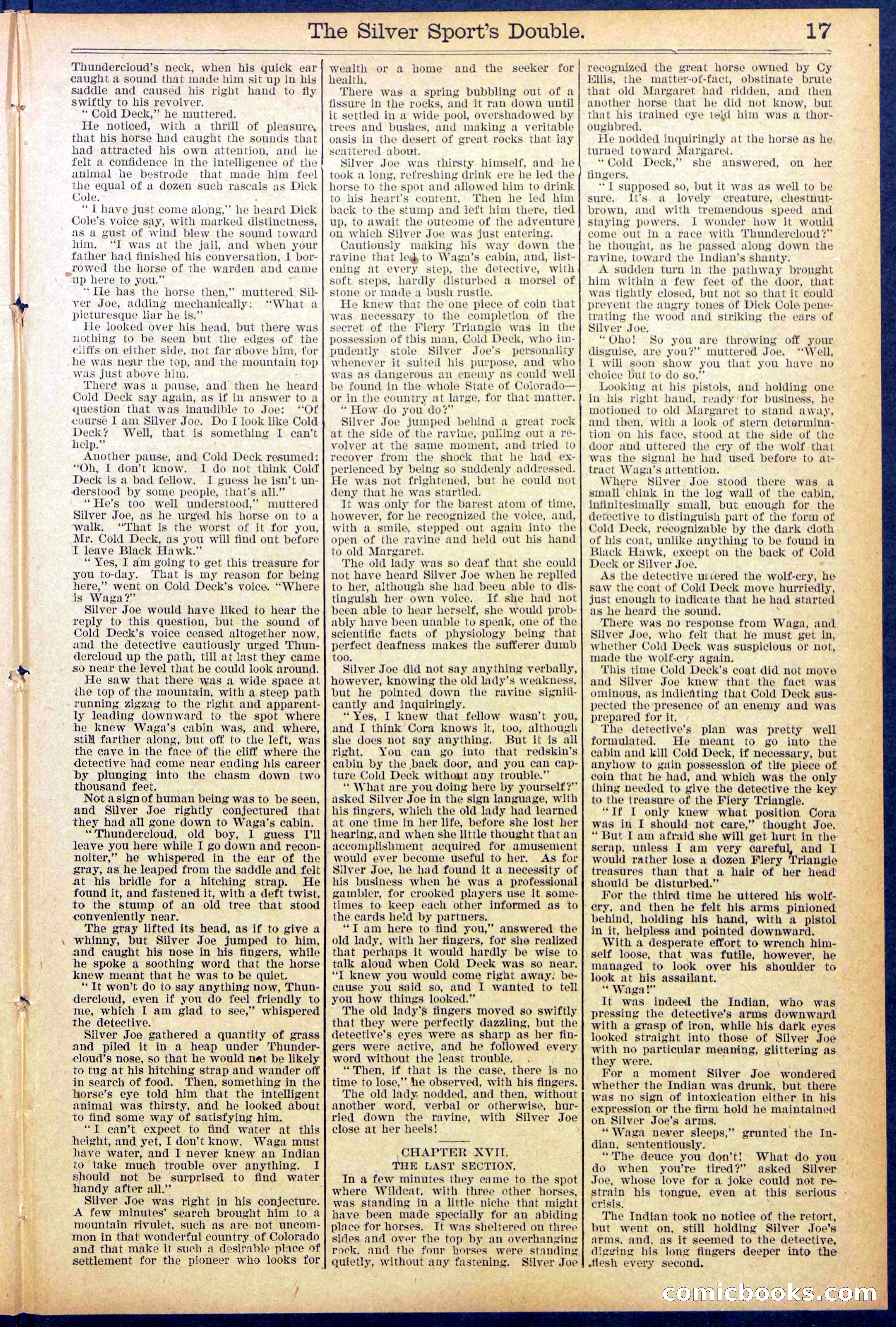 Beadle's New York Dime Library No. 880 — page 17 of 32
