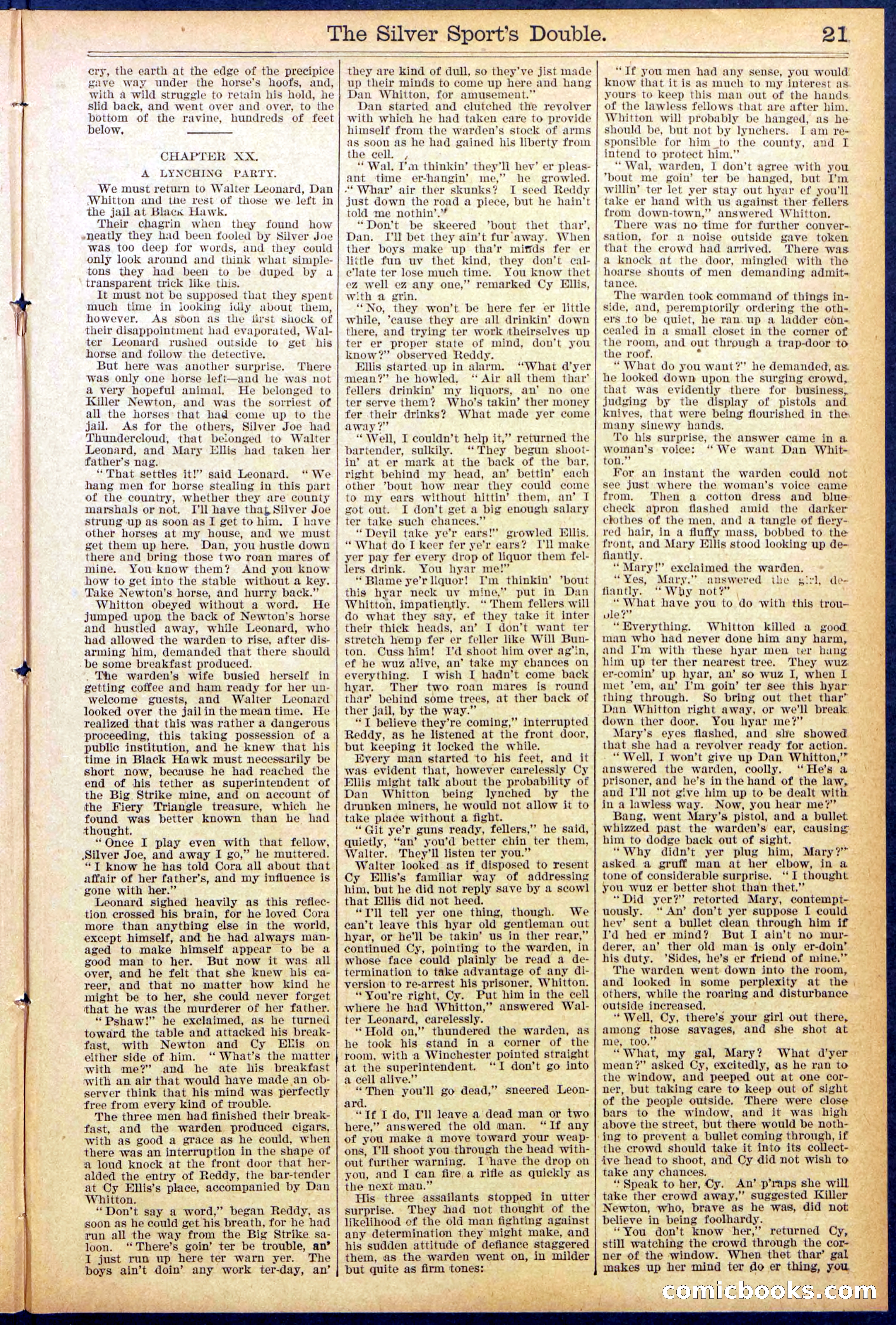 Beadle's New York Dime Library No. 880 — page 21 of 32
