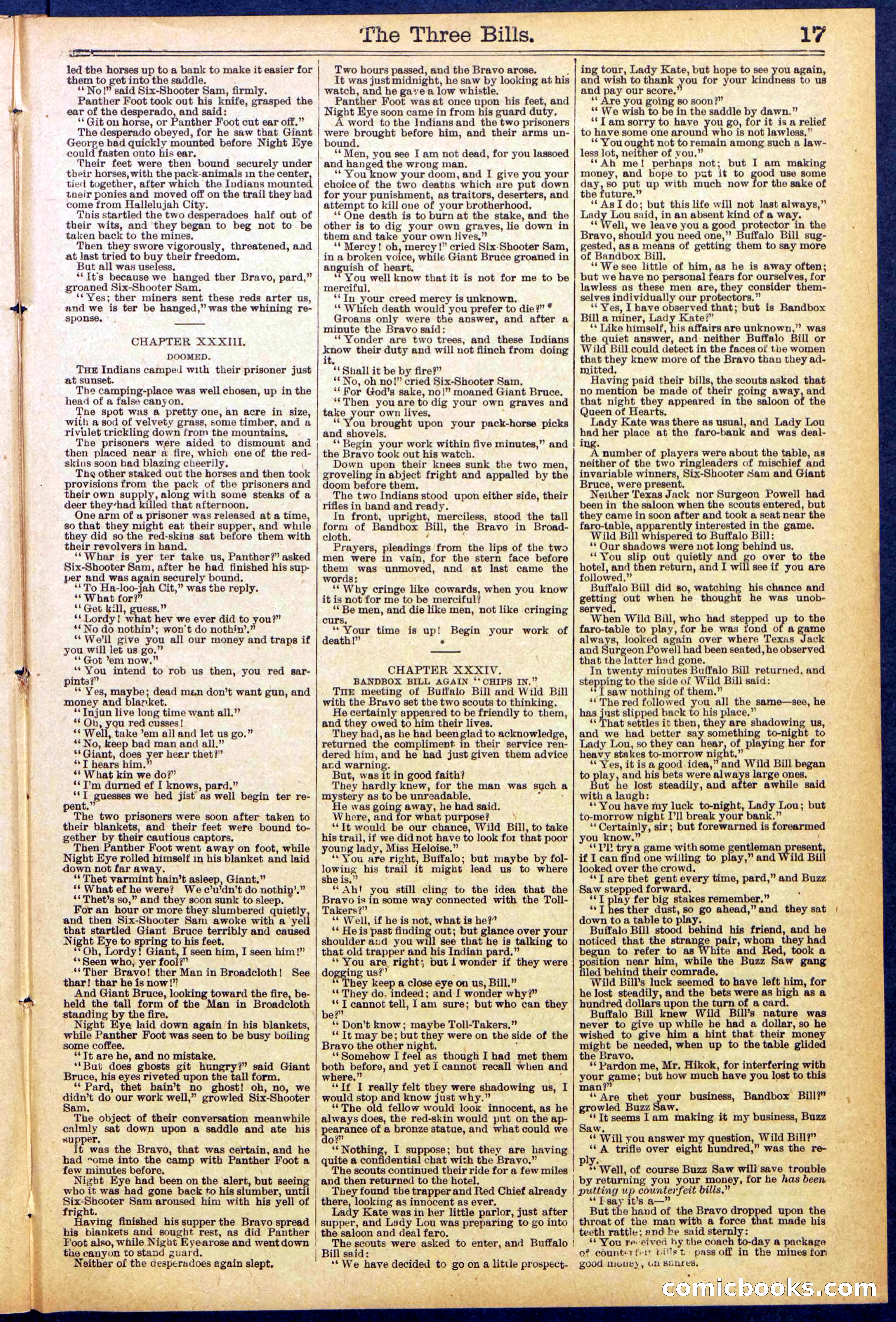 Beadle's New York Dime Library, No. 882 — page 17 of 32