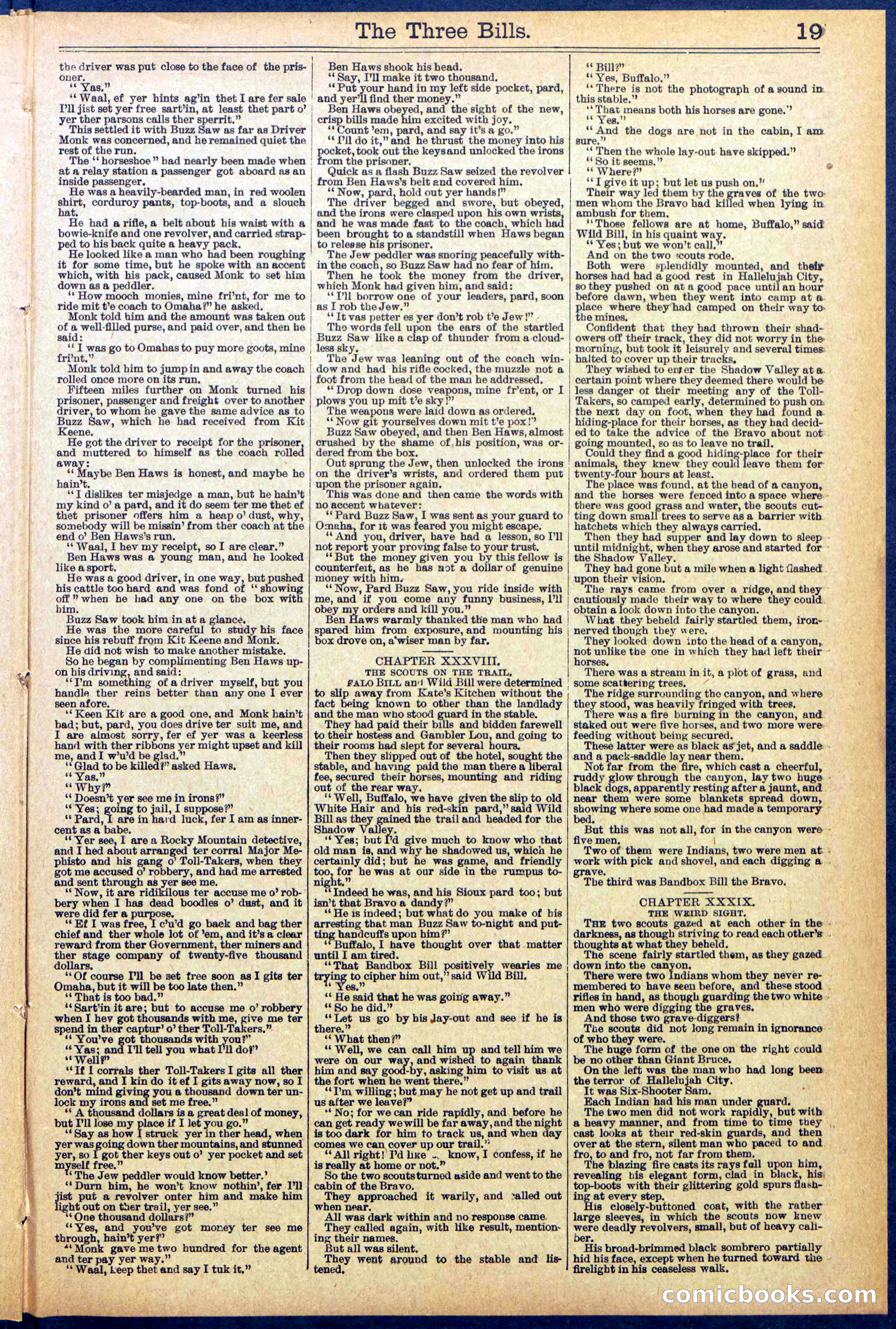 Beadle's New York Dime Library, No. 882 — page 19 of 32