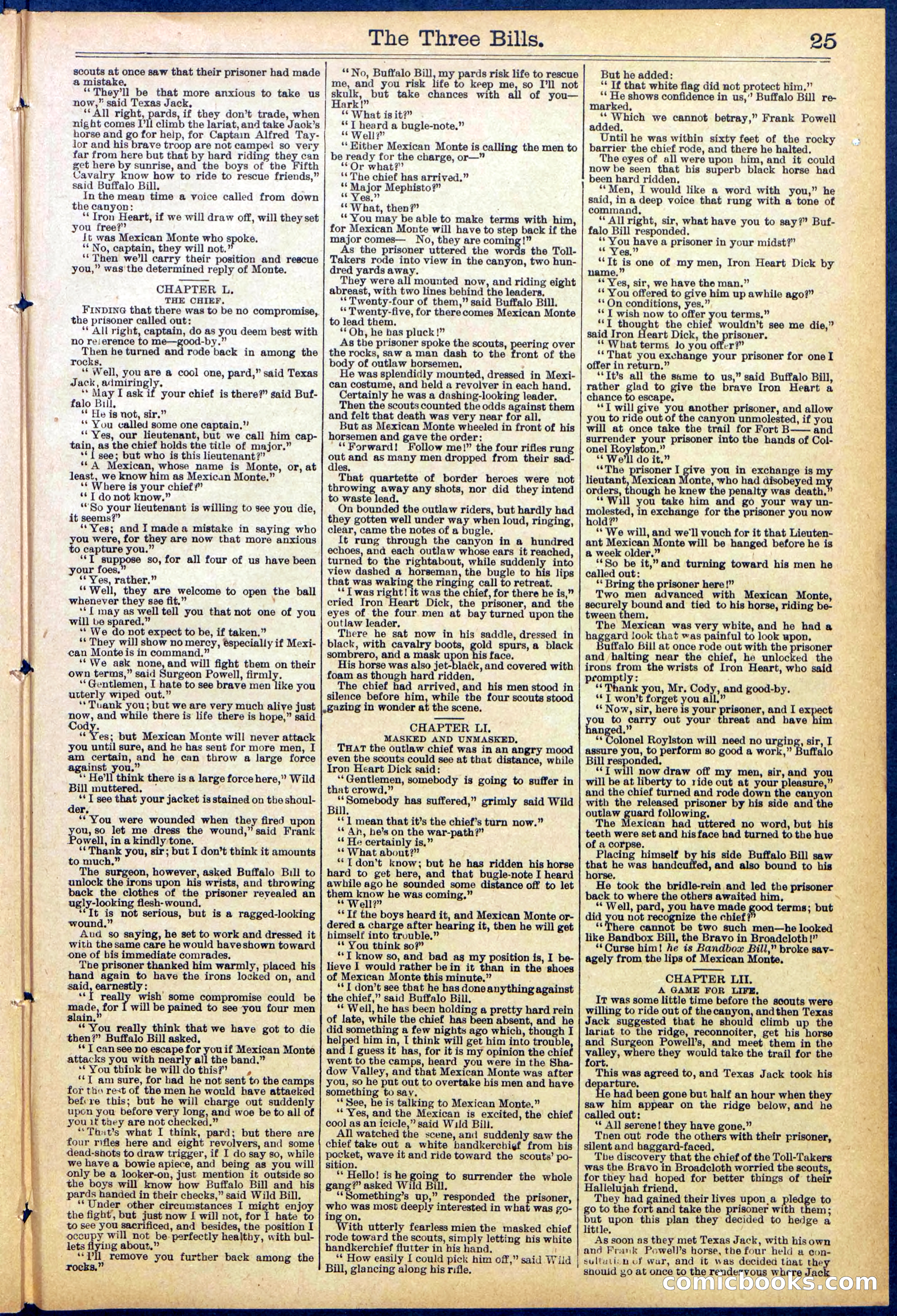 Beadle's New York Dime Library, No. 882 — page 25 of 32