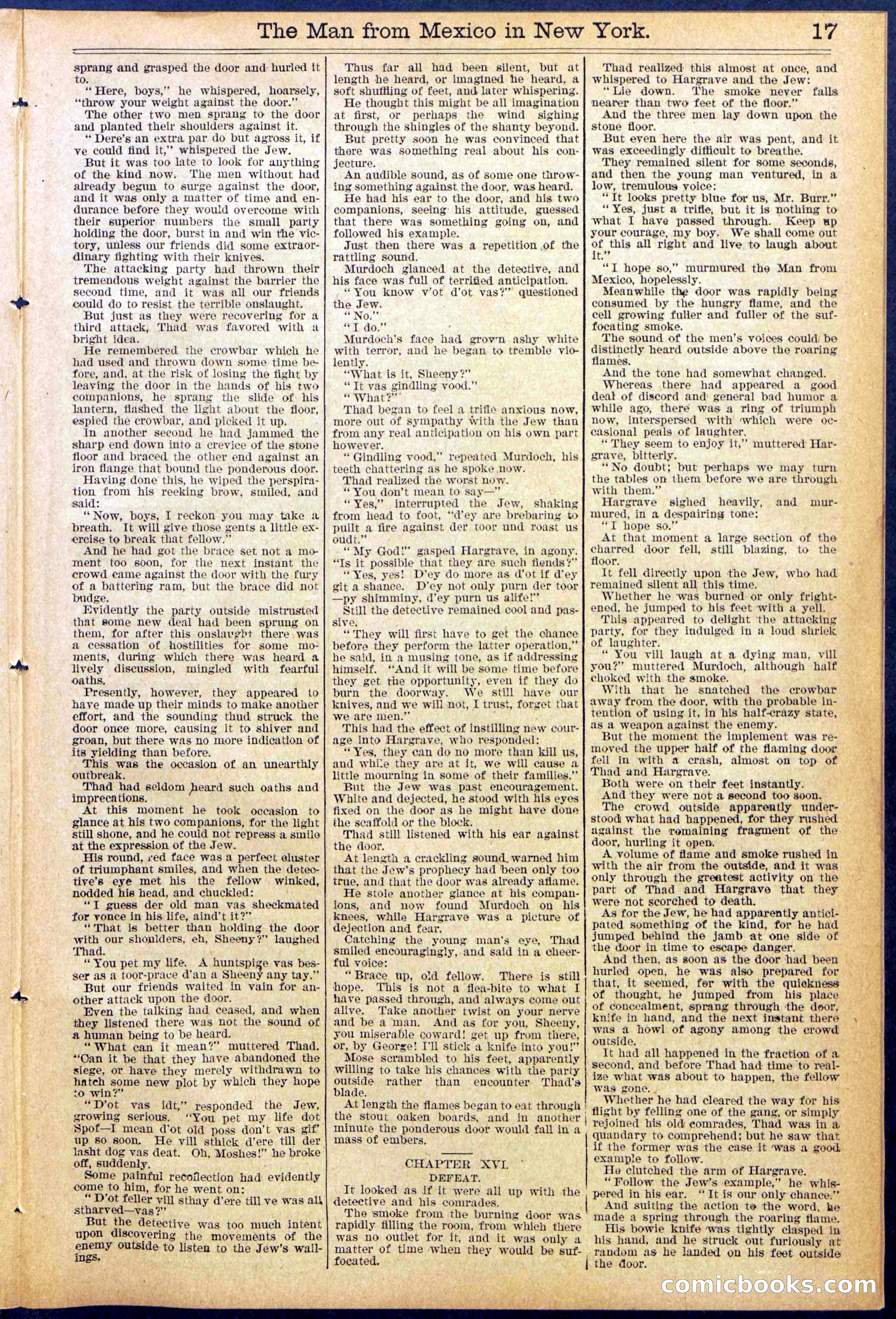 Beadle's New York Dime Library No. 883 — page 17 of 32