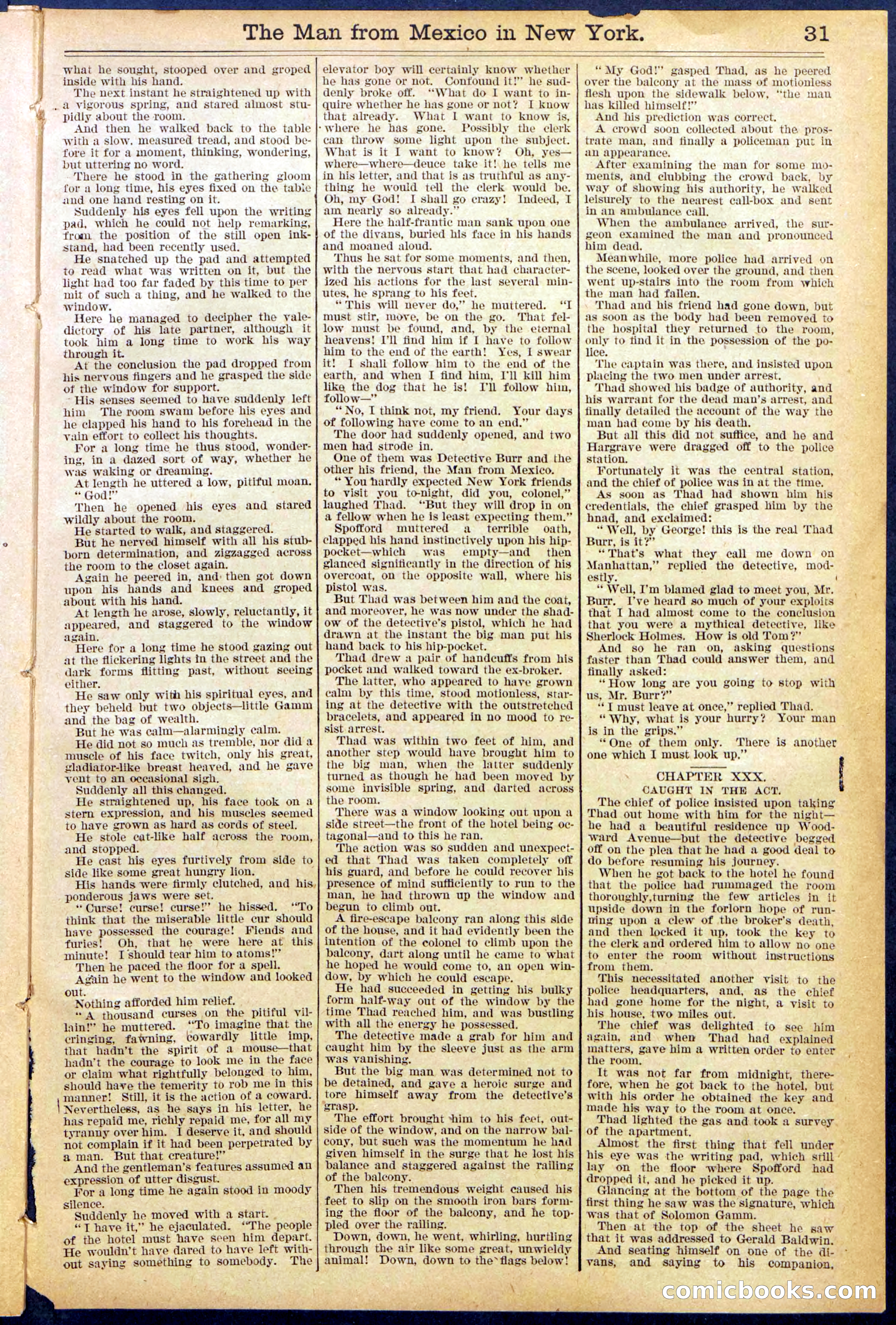 Beadle's New York Dime Library No. 883 — page 31 of 32