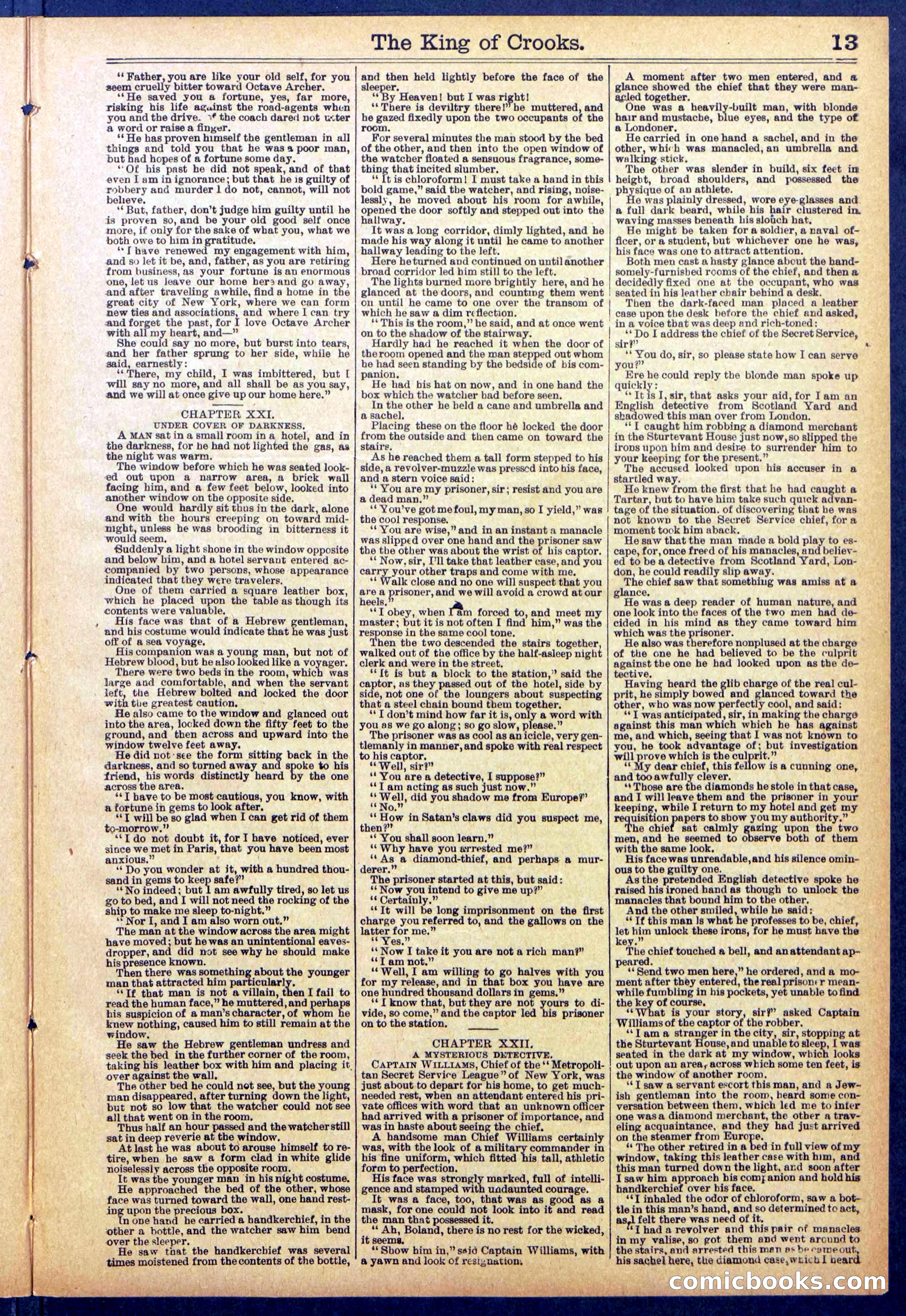 Beadle's New York Dime Library No. 886 — page 13 of 32