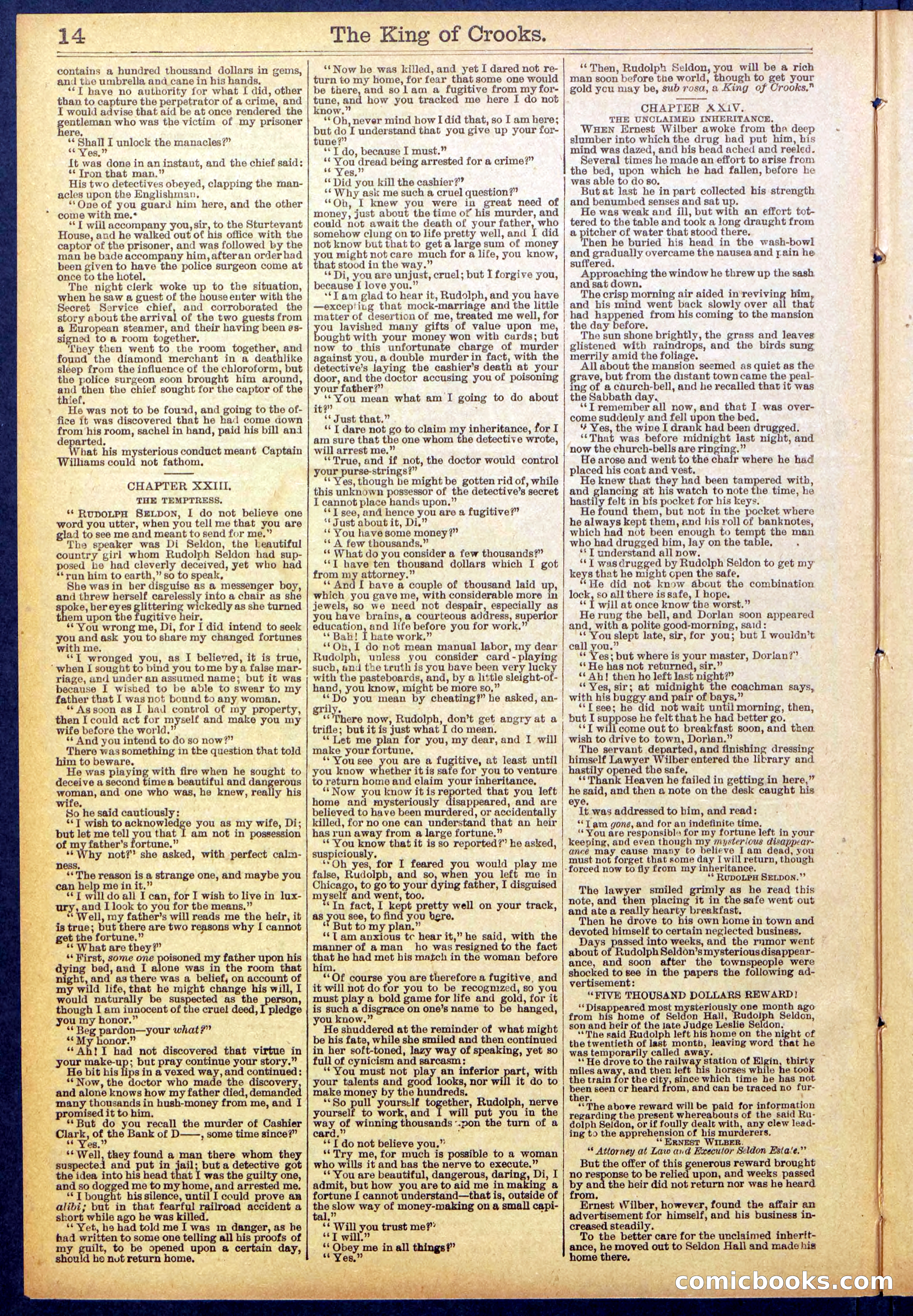 Beadle's New York Dime Library No. 886 — page 14 of 32