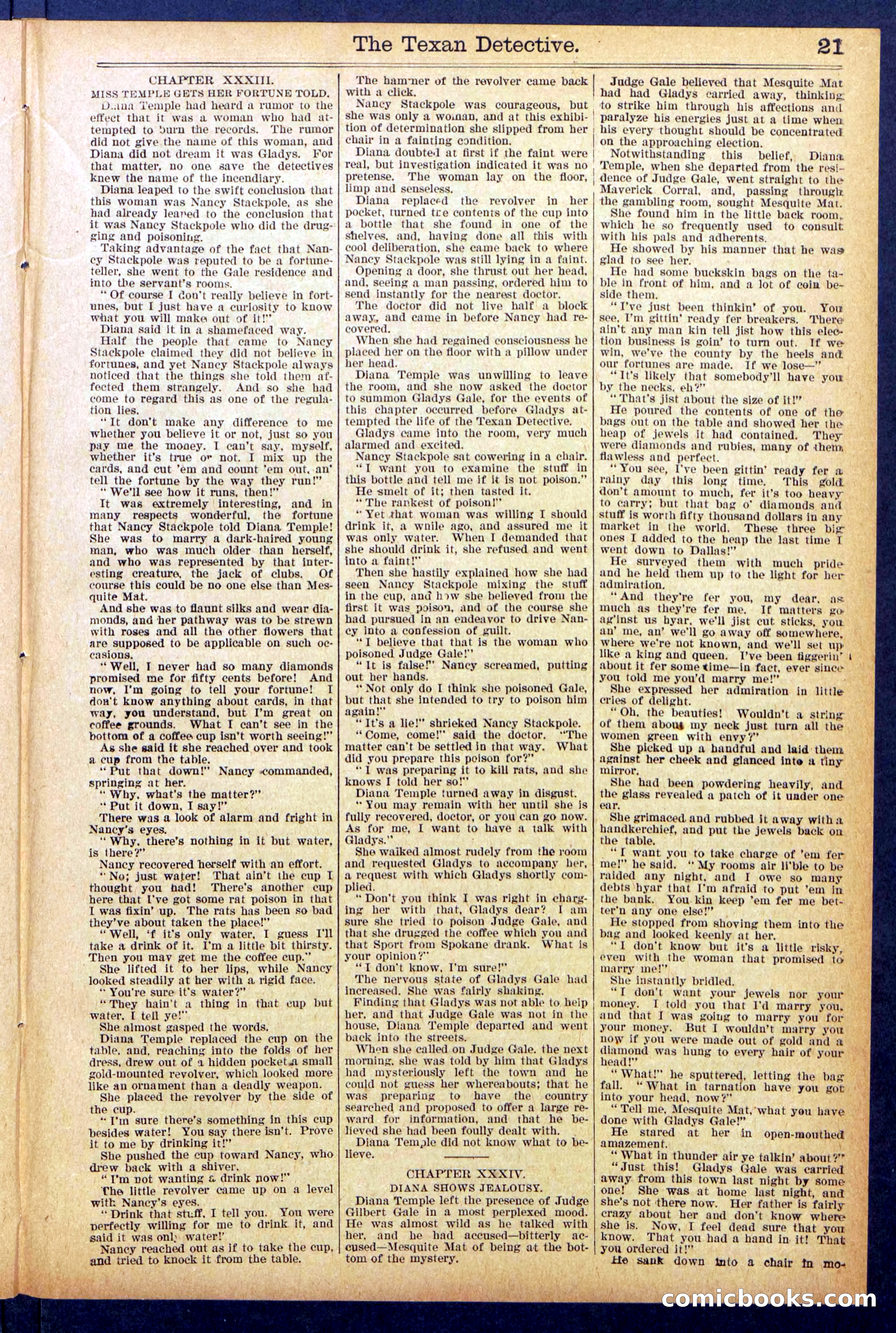 Beadle's New York Dime Library No. 887 — page 21 of 32