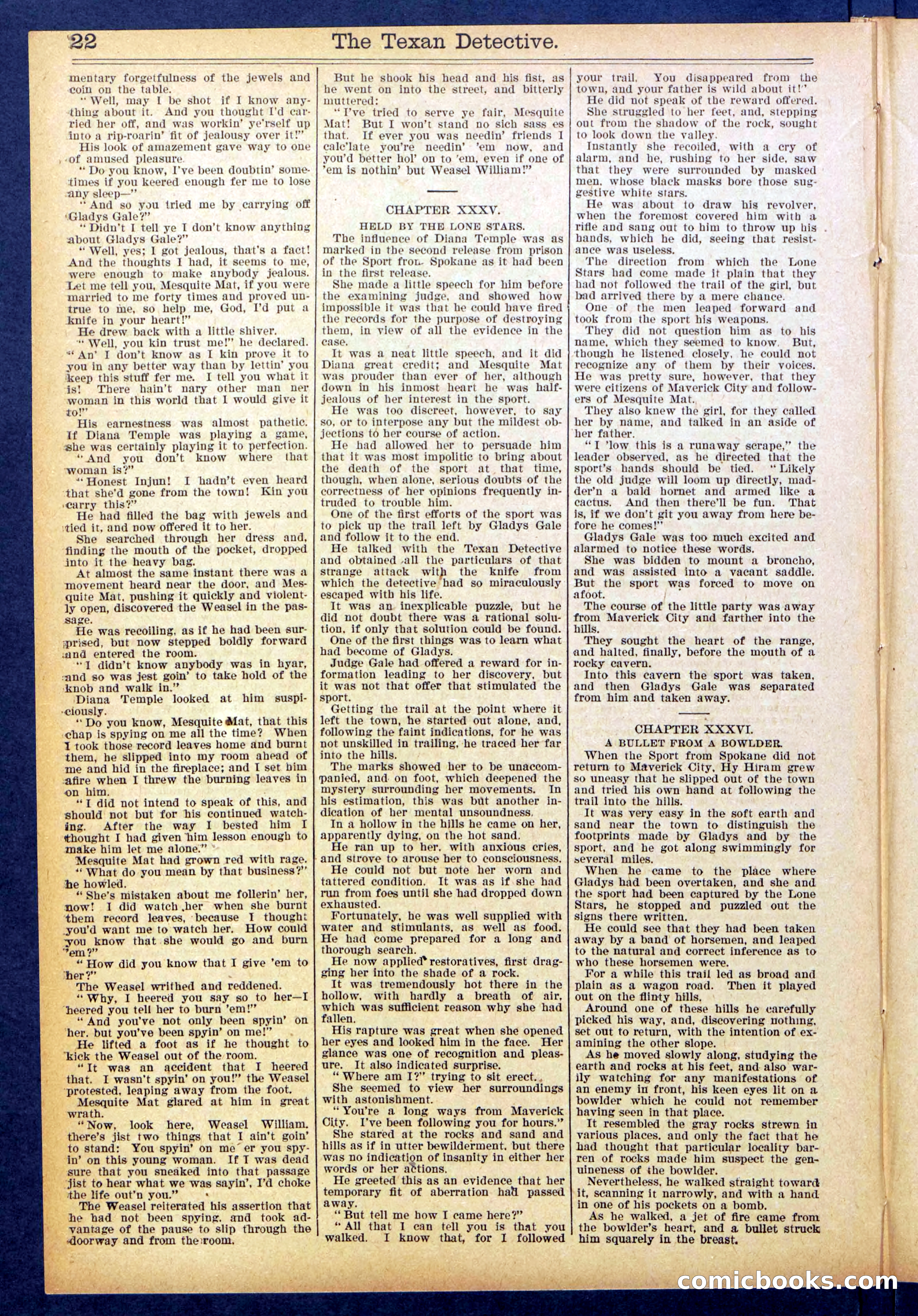 Beadle's New York Dime Library No. 887 — page 22 of 32
