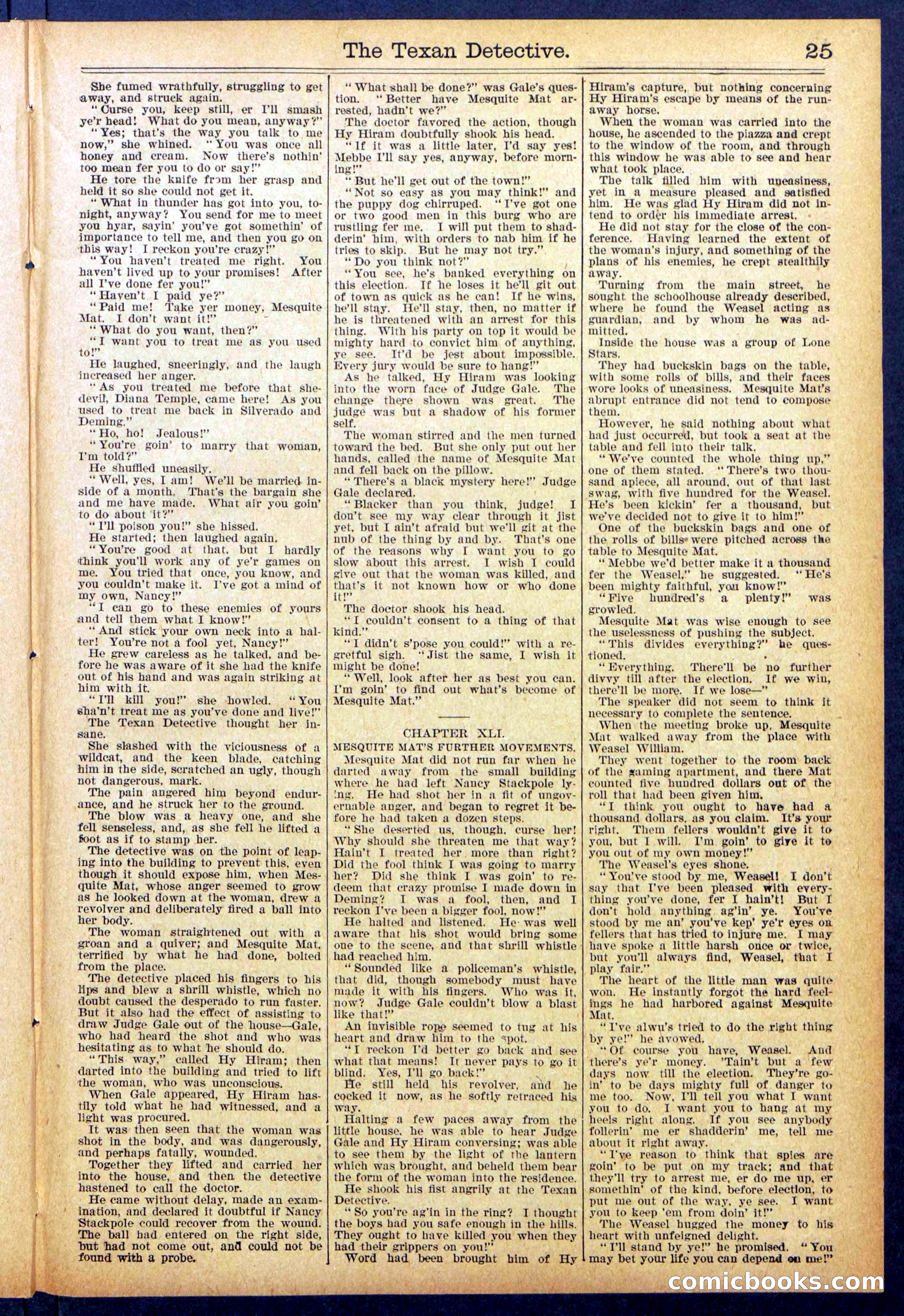 Beadle's New York Dime Library No. 887 — page 25 of 32