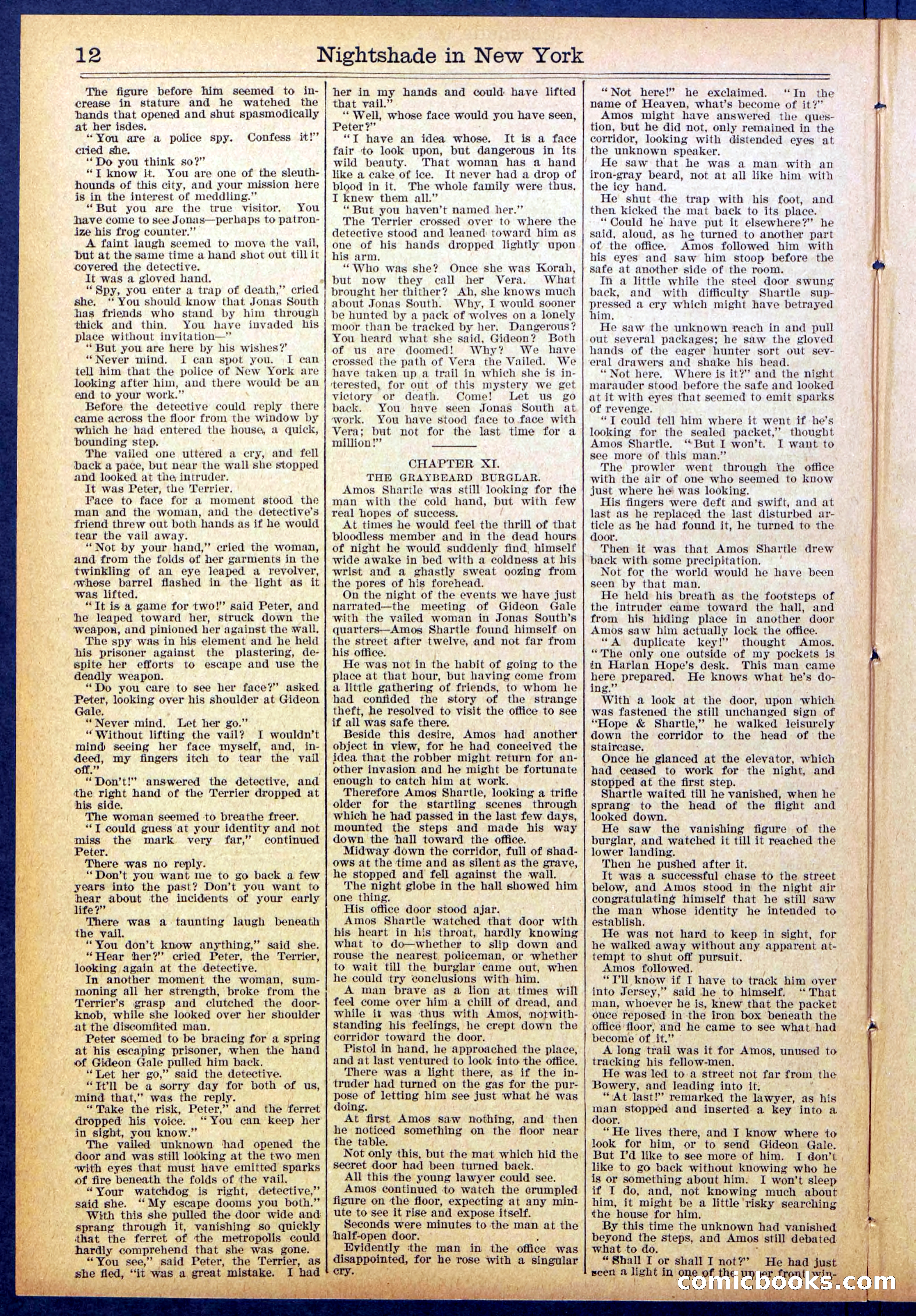 Beadle's New York Dime Library No. 888 — page 12 of 32